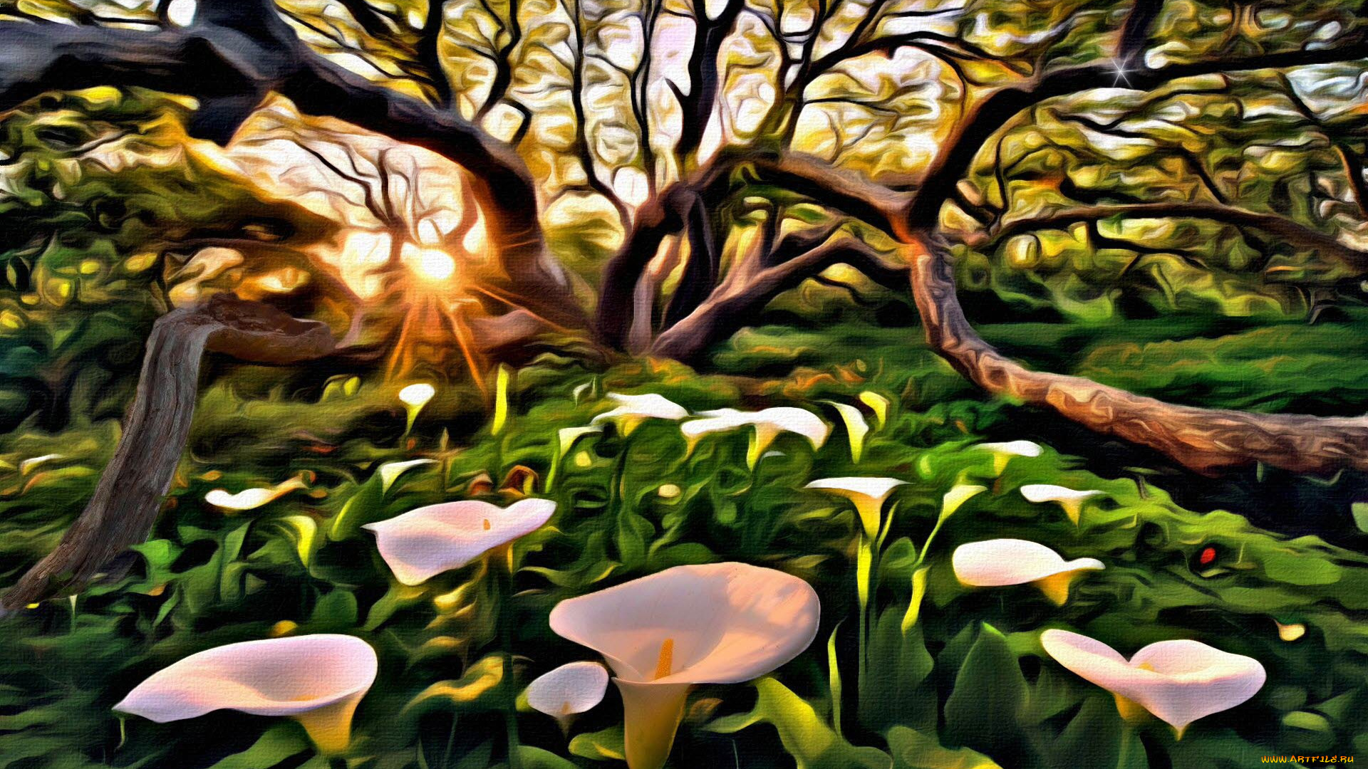 рисованные, цветы, каллы, дерево