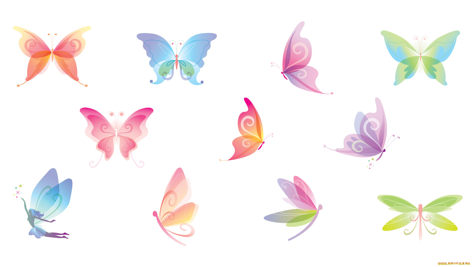 векторная, графика, животные, бабочки