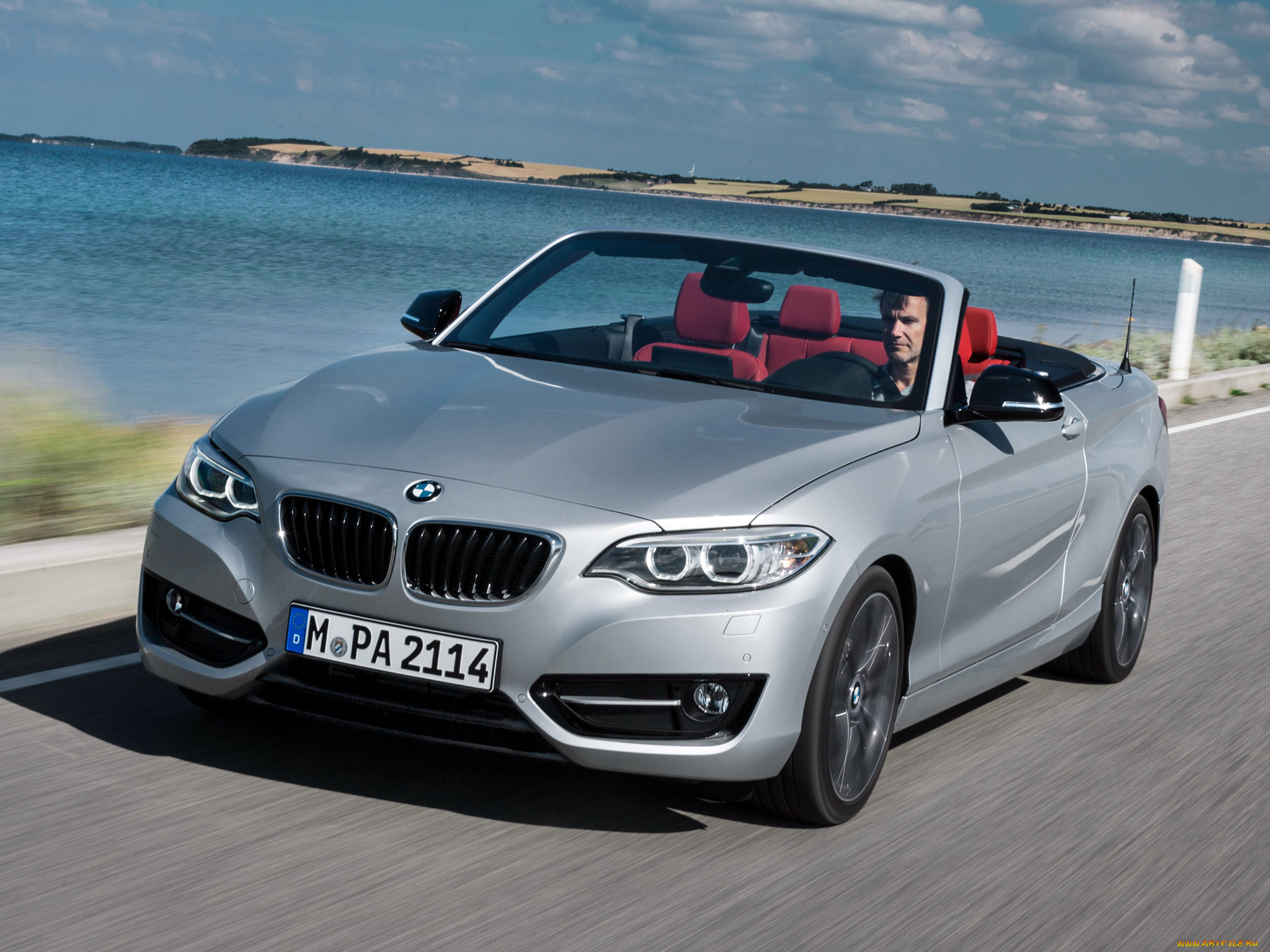 автомобили, bmw, line, sport, cabrio, 228i, серый, 2014г, f23