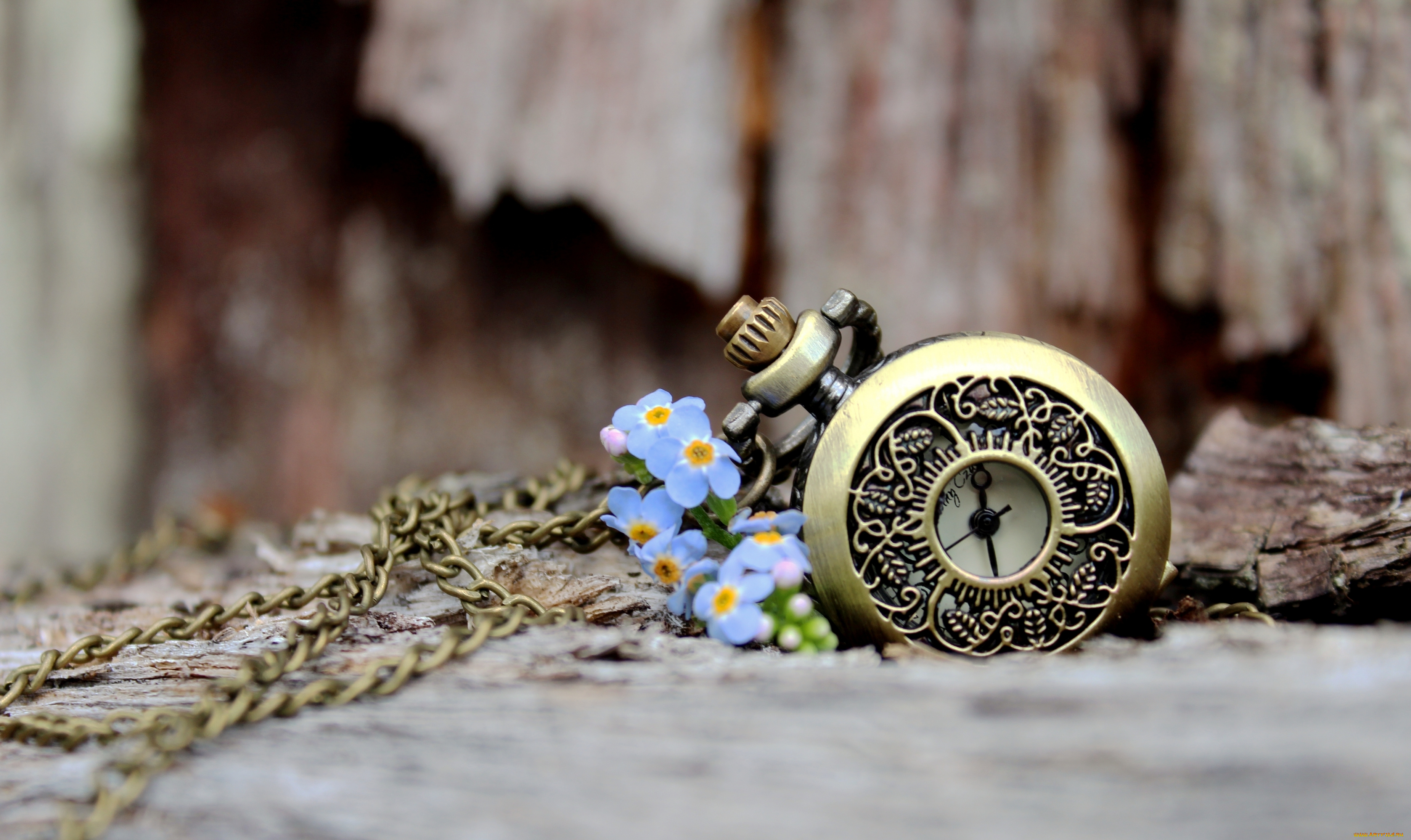 разное, Часы, , часовые, механизмы, цветы, лепестки, боке, любовь