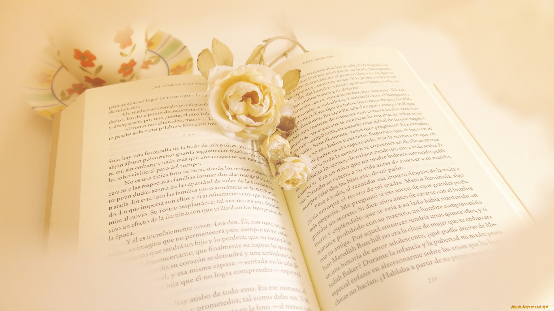 разное, канцелярия, , книги, стиль, цветы, книга