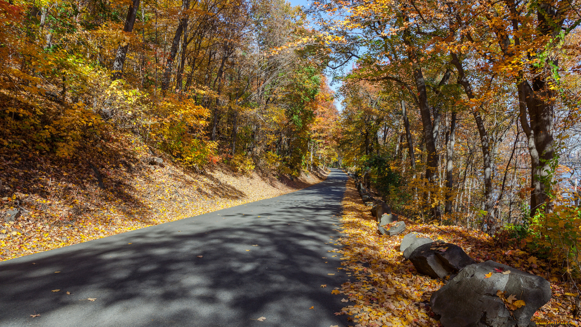 природа, дороги, тракт