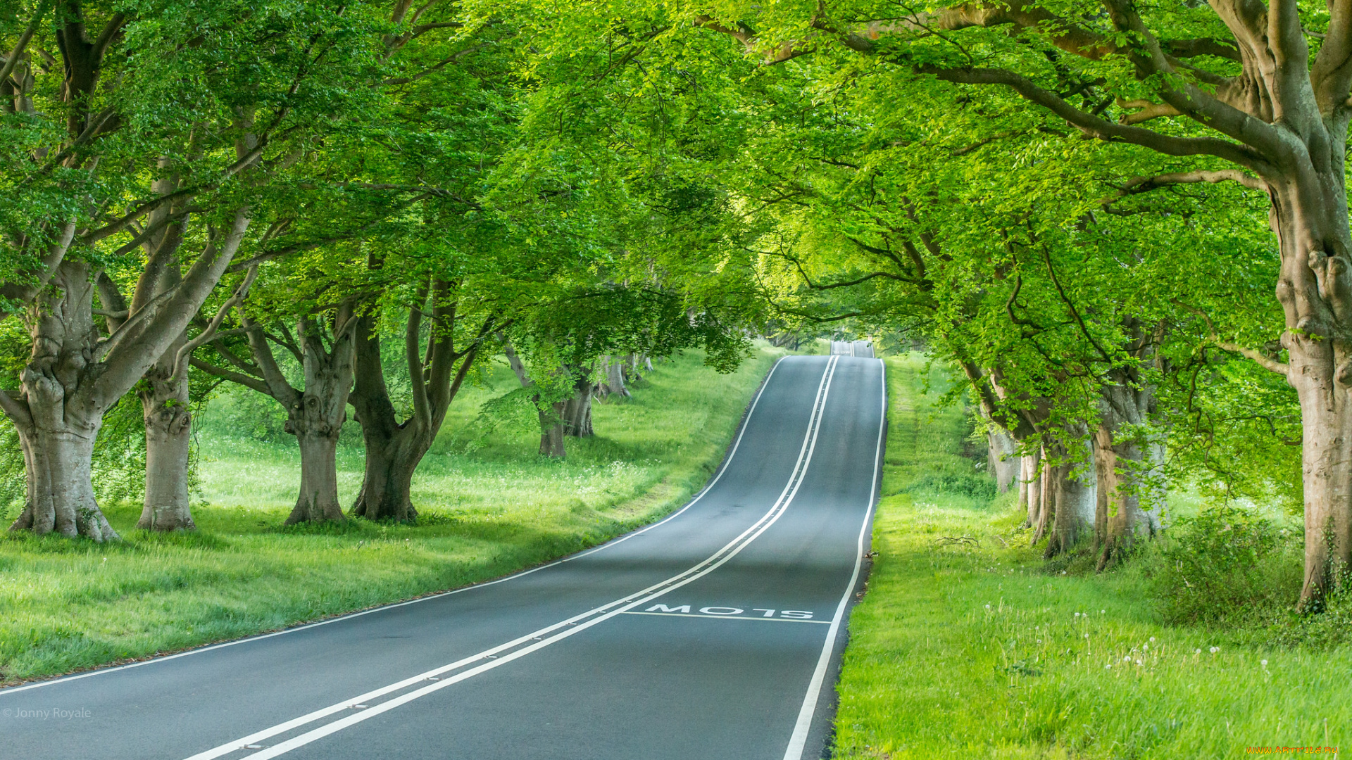 природа, дороги, тракт