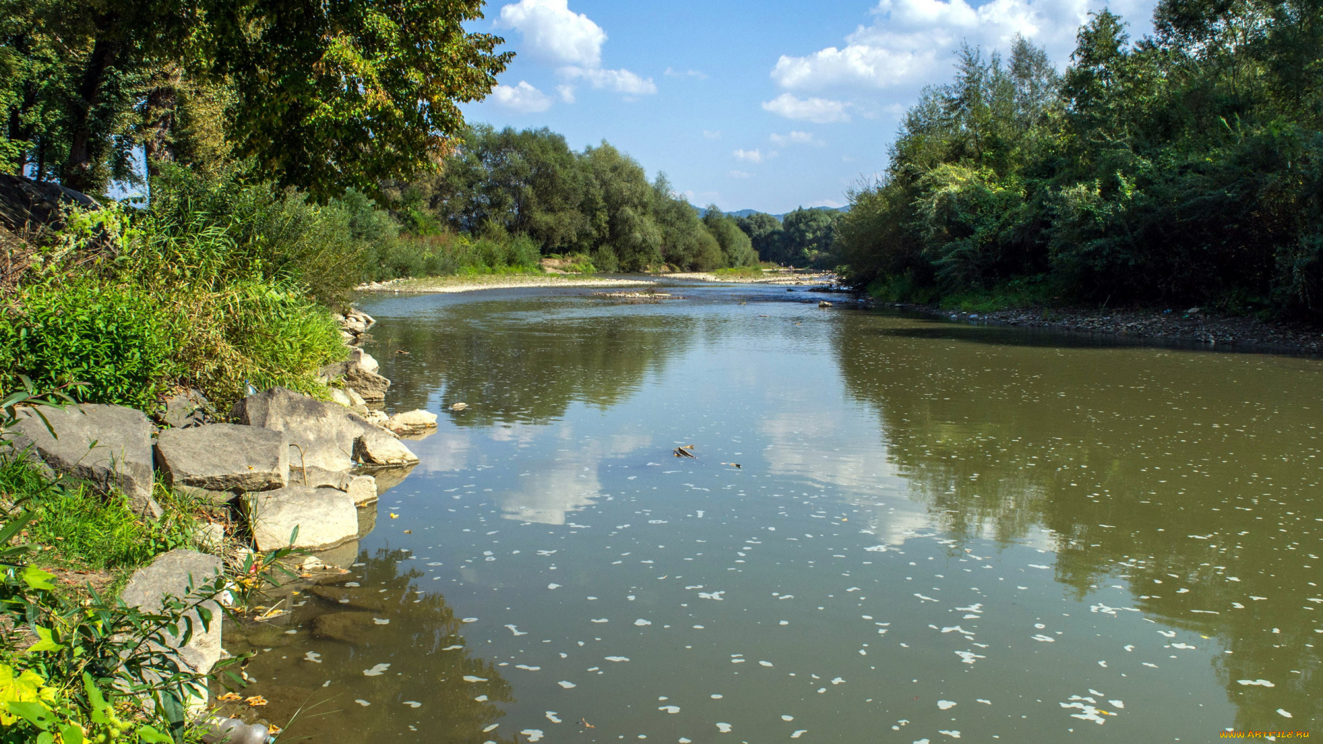 природа, реки, озера, деревья, камни