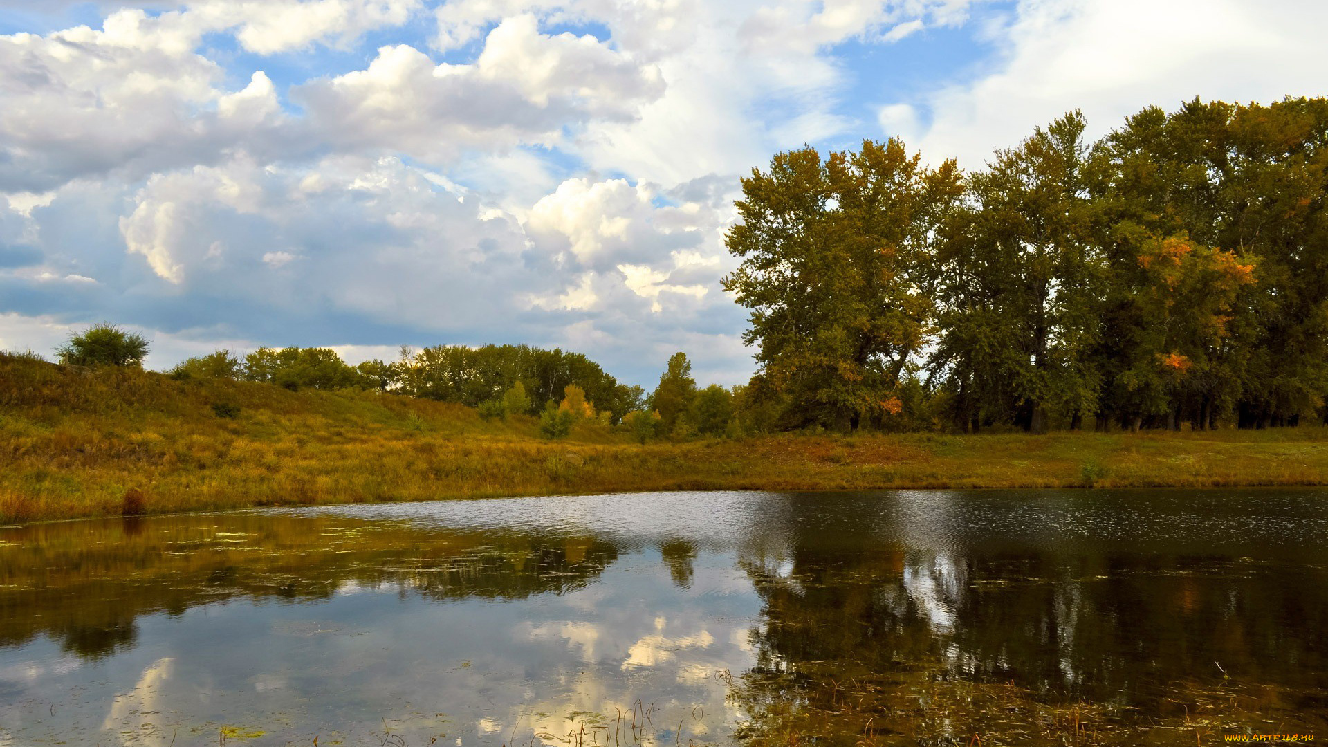 природа, реки, озера, отражение, деревья, облака, небо