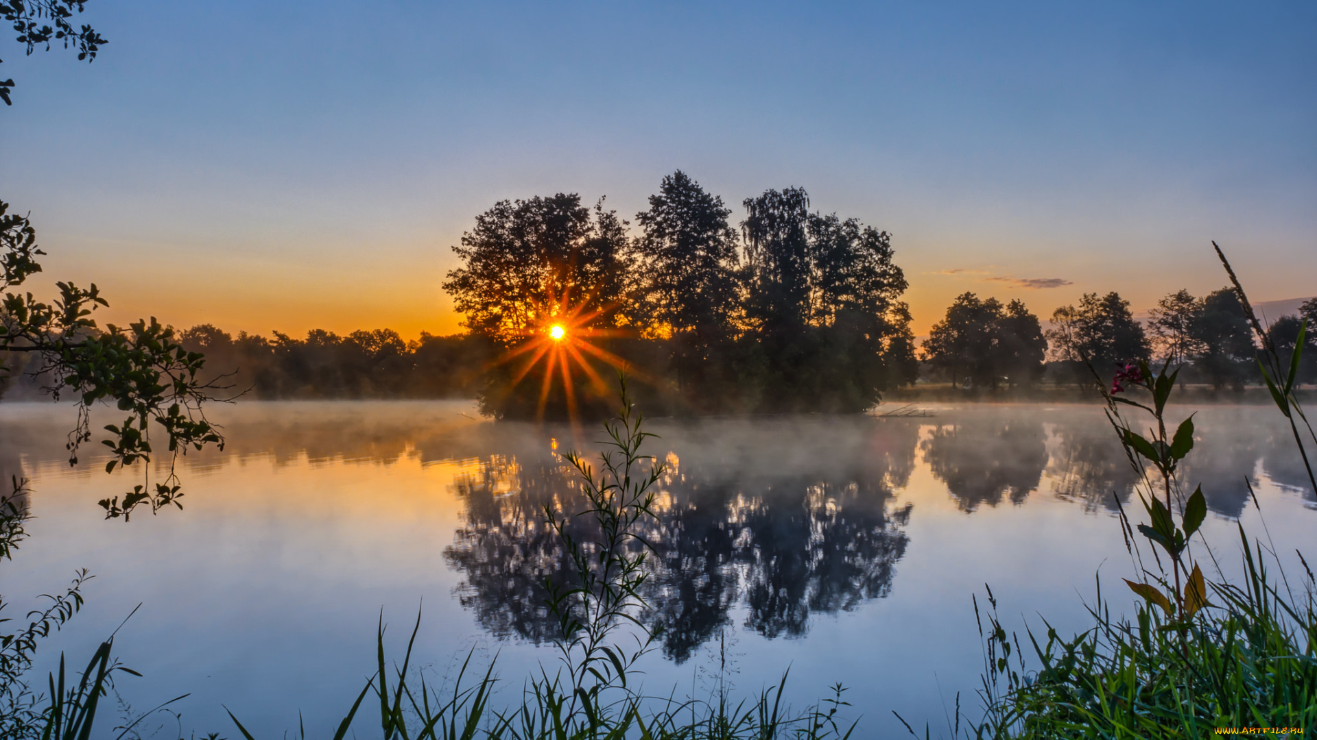 природа, реки, озера, река, лес