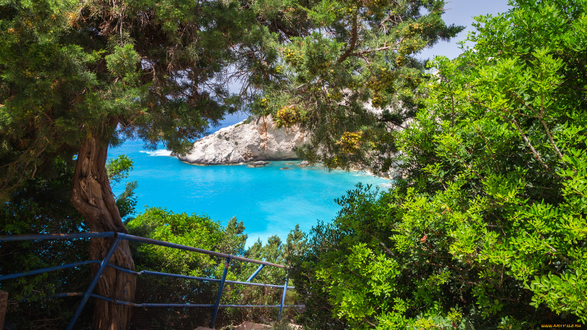 природа, реки, озера, река, лес