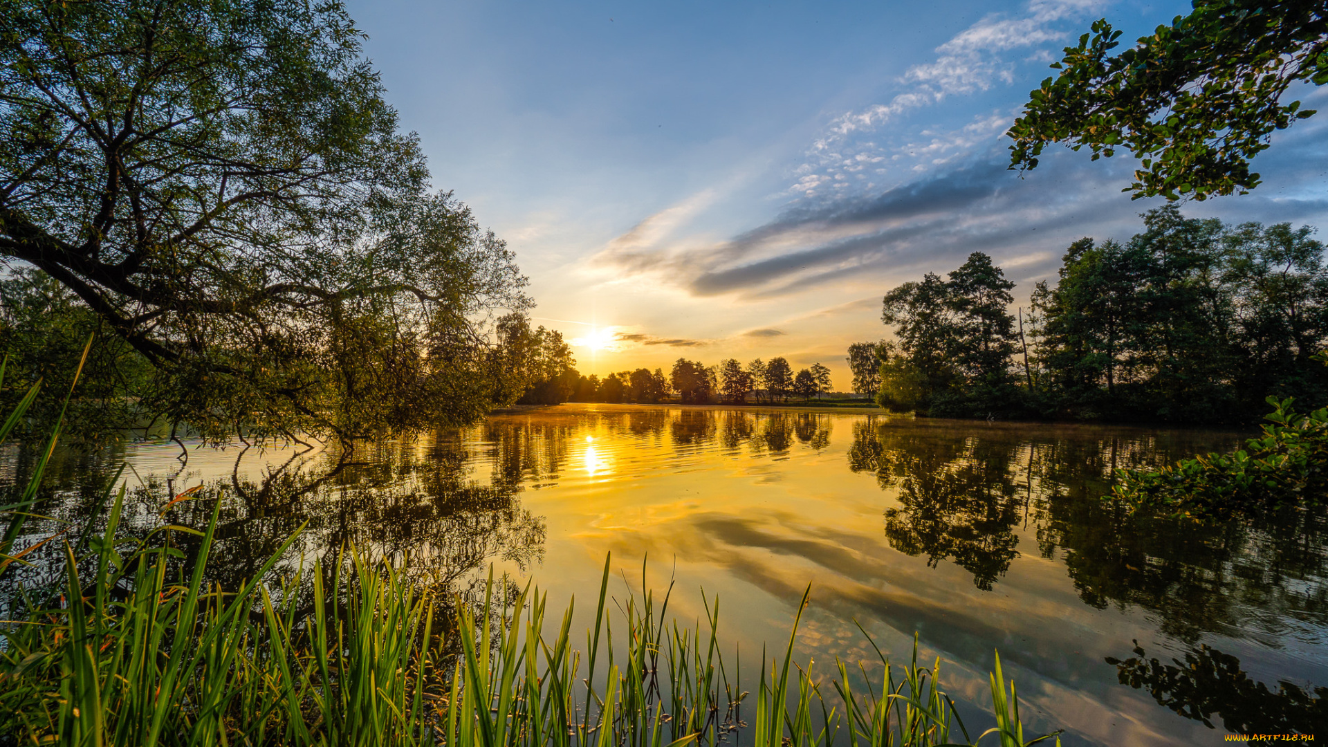 природа, реки, озера, река, лес