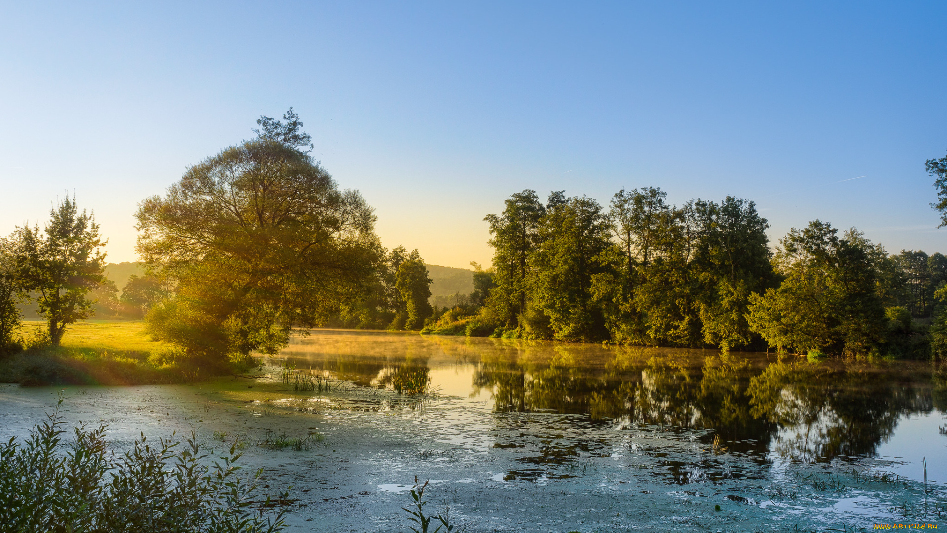 природа, реки, озера, река, лес