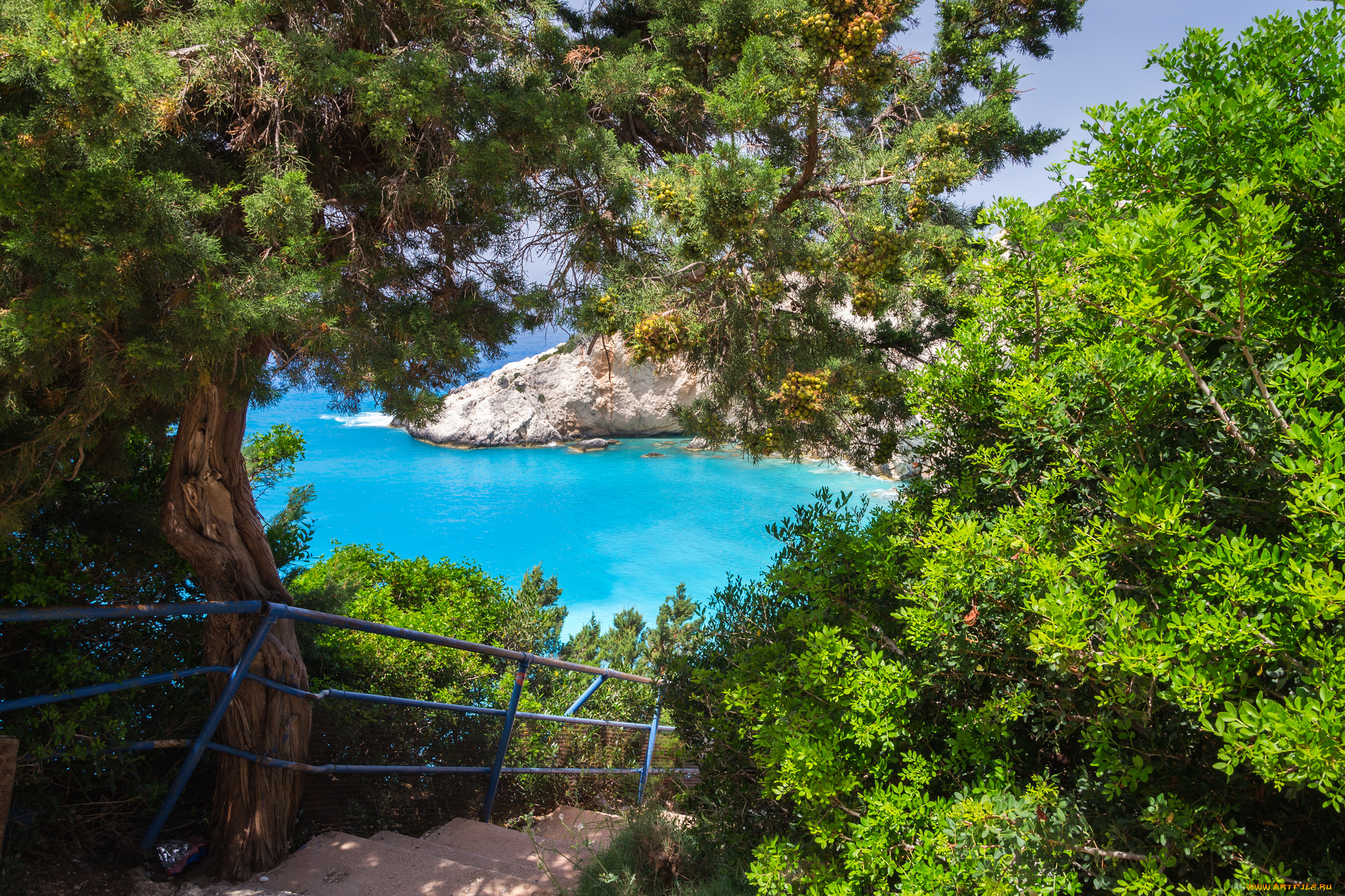 природа, реки, озера, река, лес