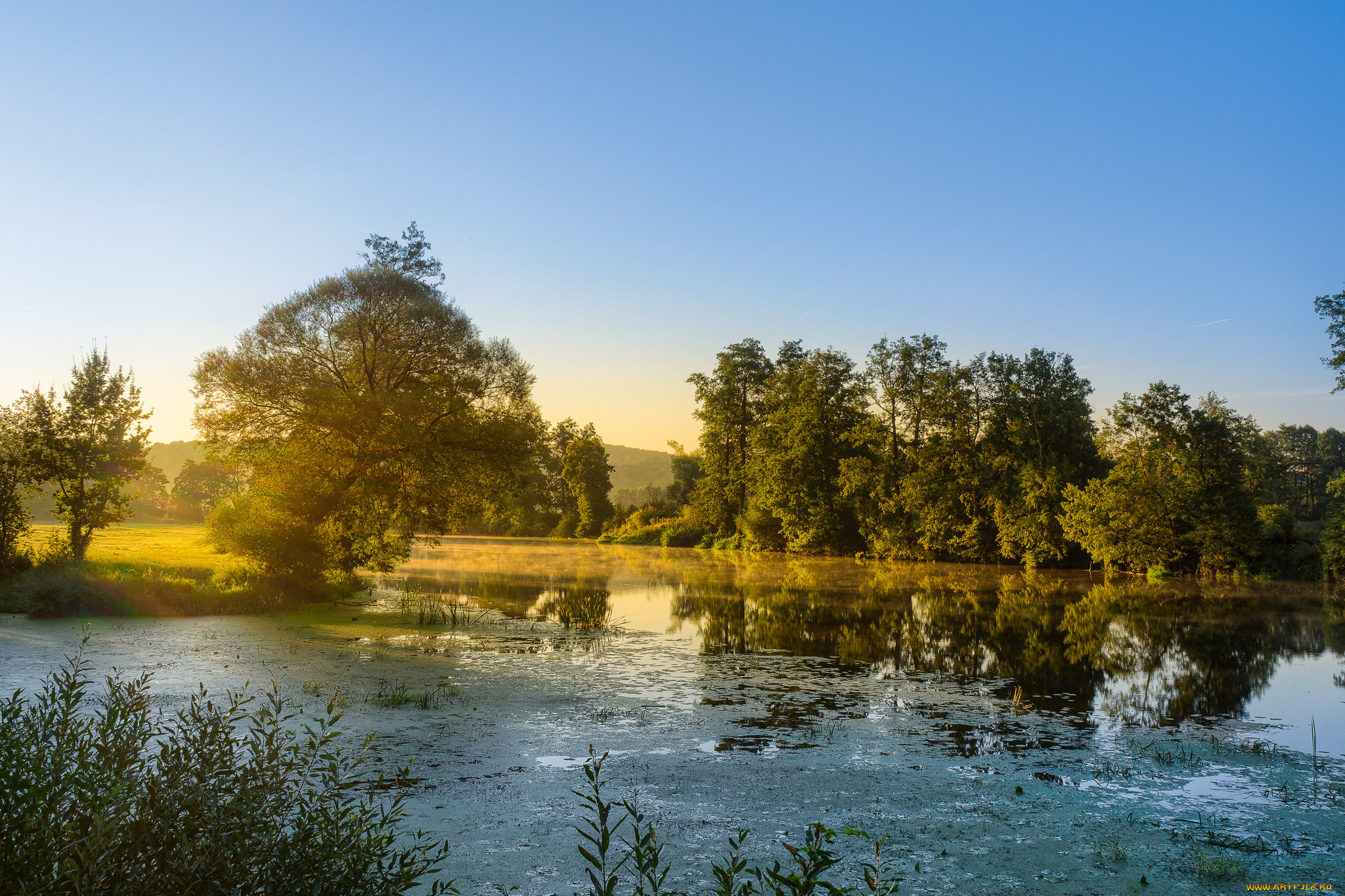 природа, реки, озера, река, лес