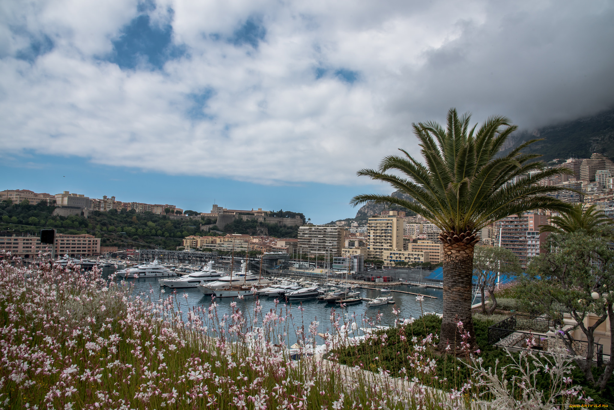 корабли, порты, , , причалы, яхта