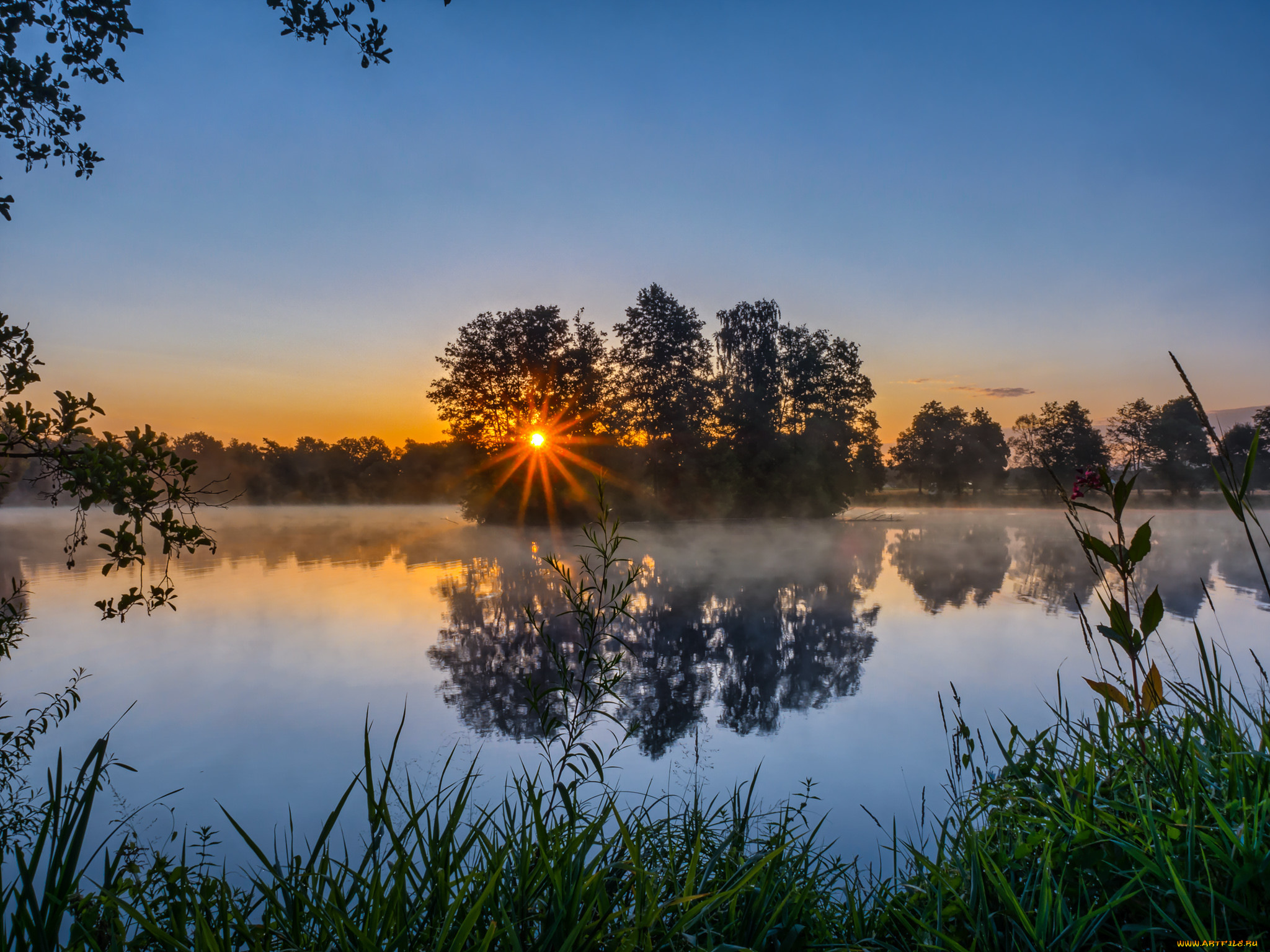 природа, реки, озера, река, лес