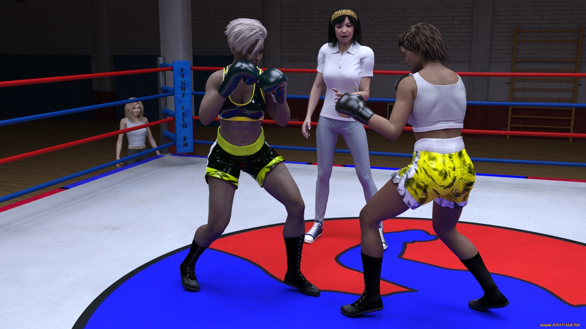 3д, графика, спорт, , sport, бокс, ринг, фон, взгляд, девушки