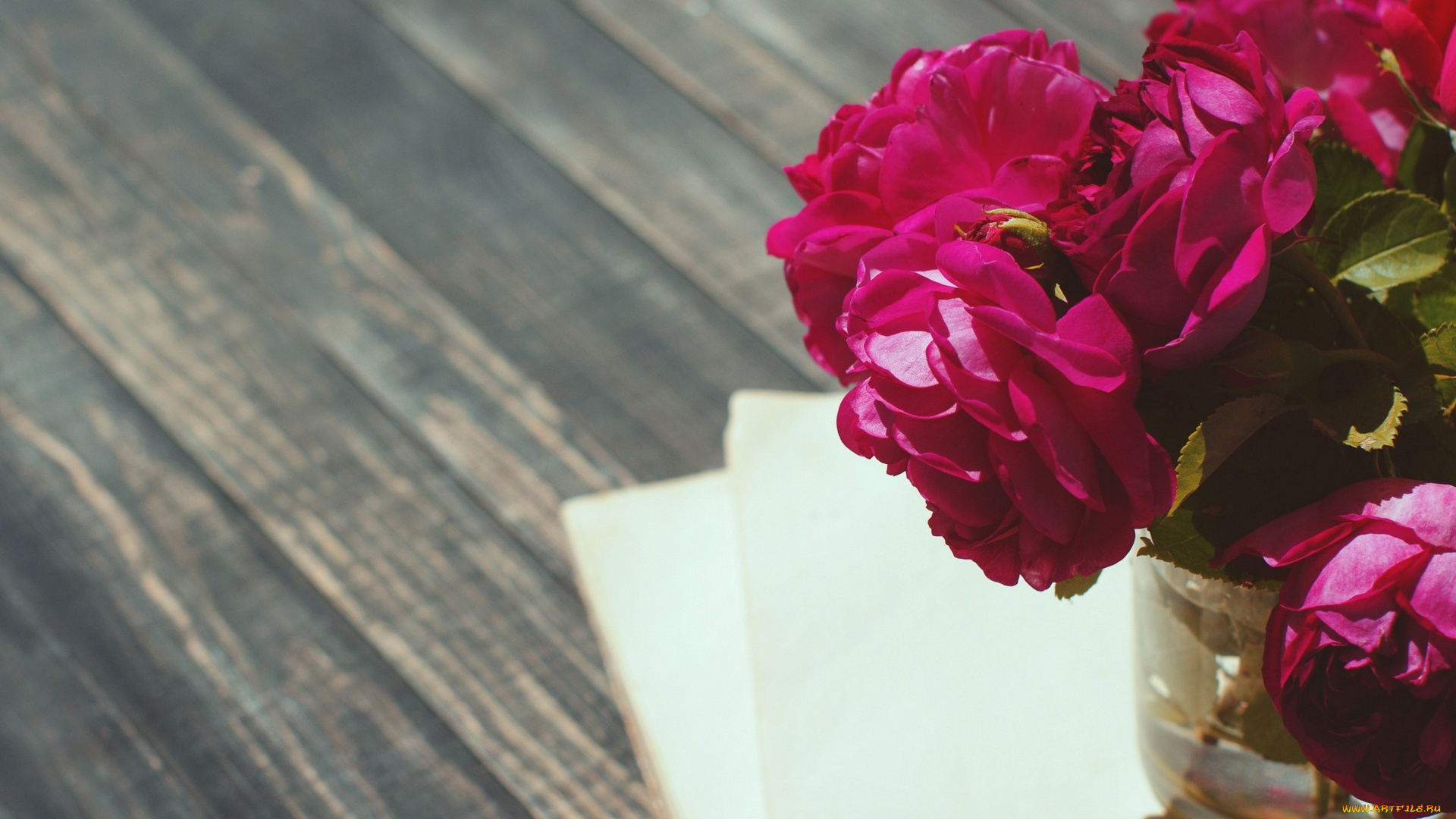 цветы, розы, банка, бумага