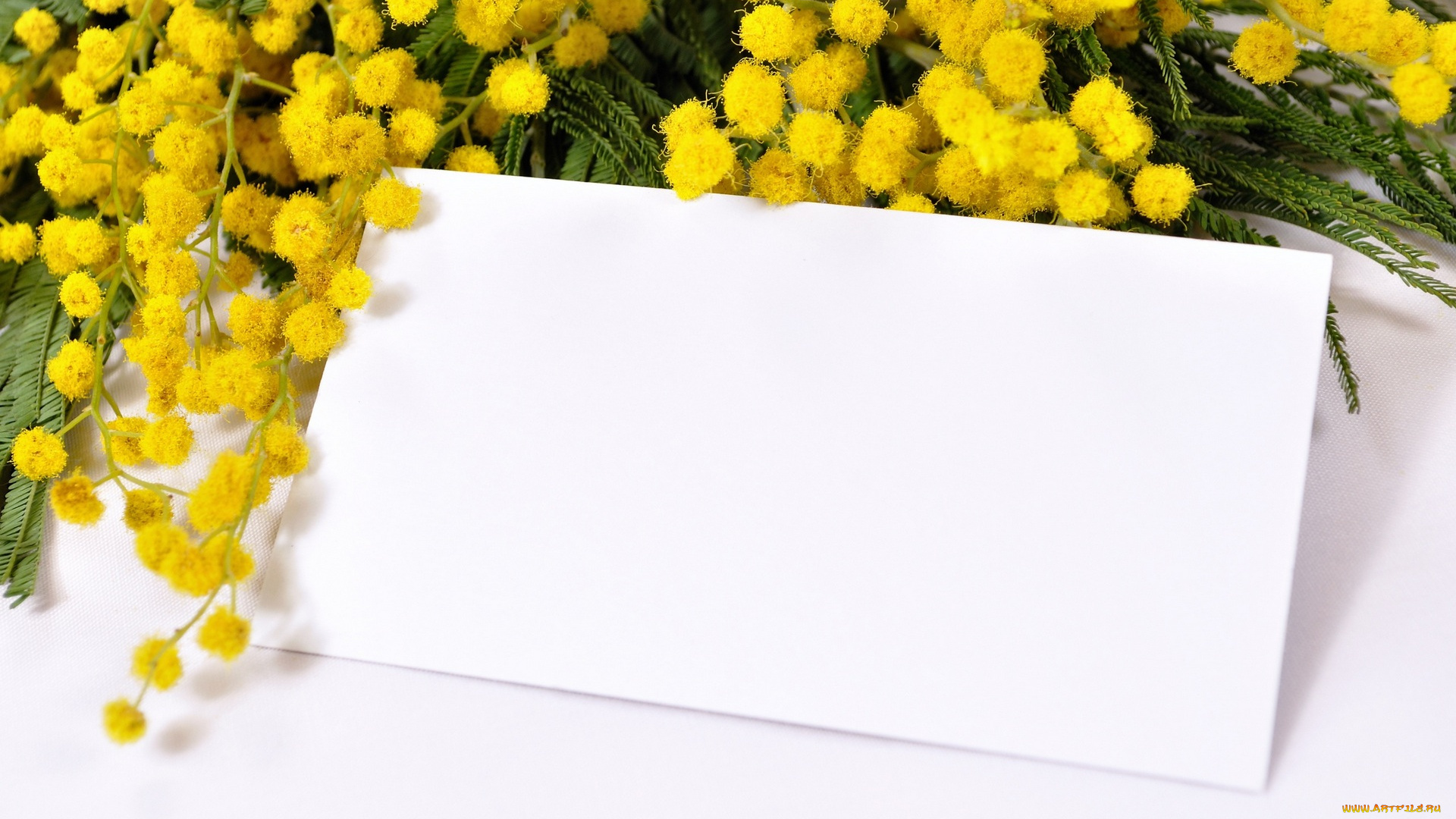 праздничные, международный, женский, день, -, 8, марта, мимоза, бумага