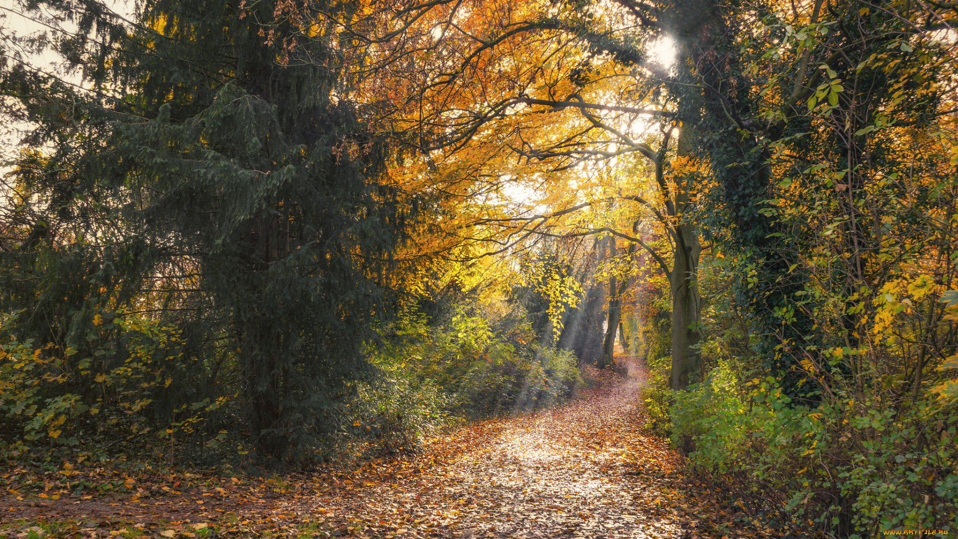 природа, дороги, простор