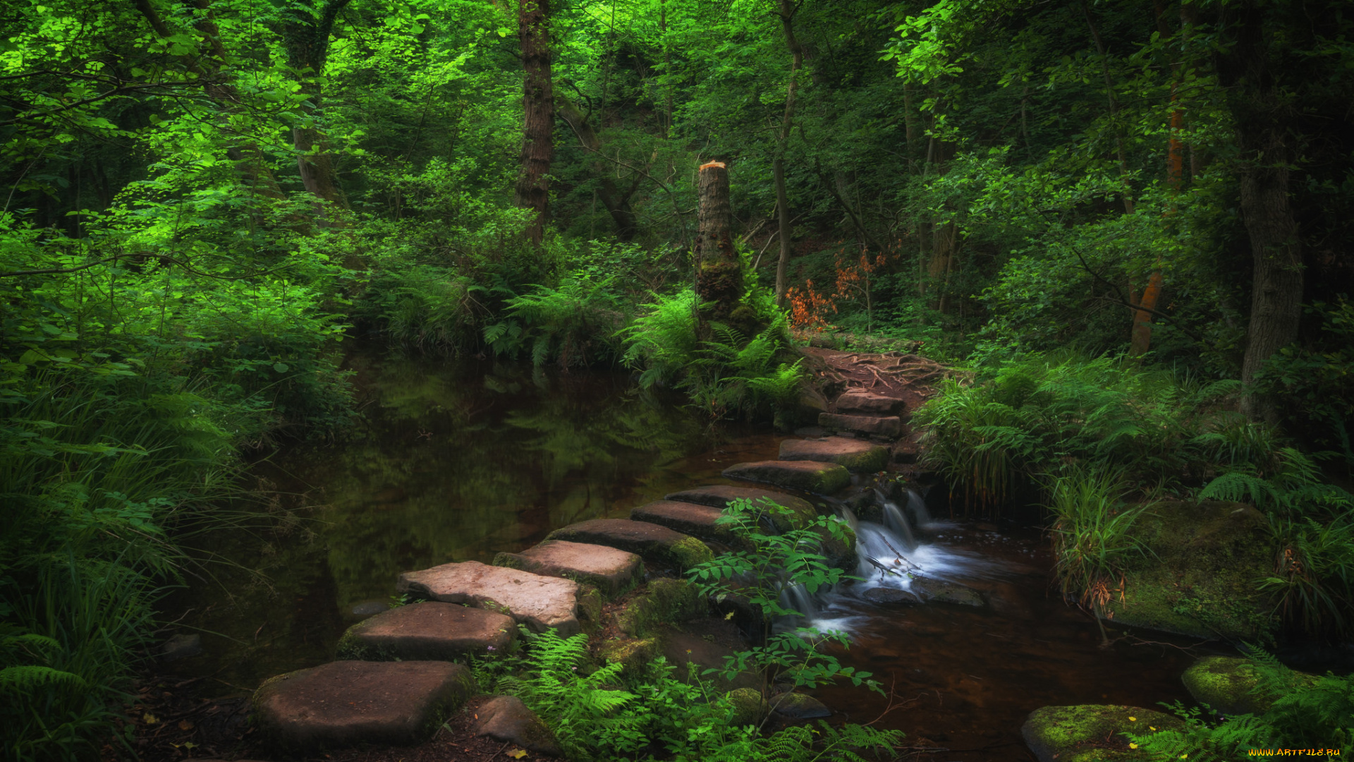 природа, дороги, простор