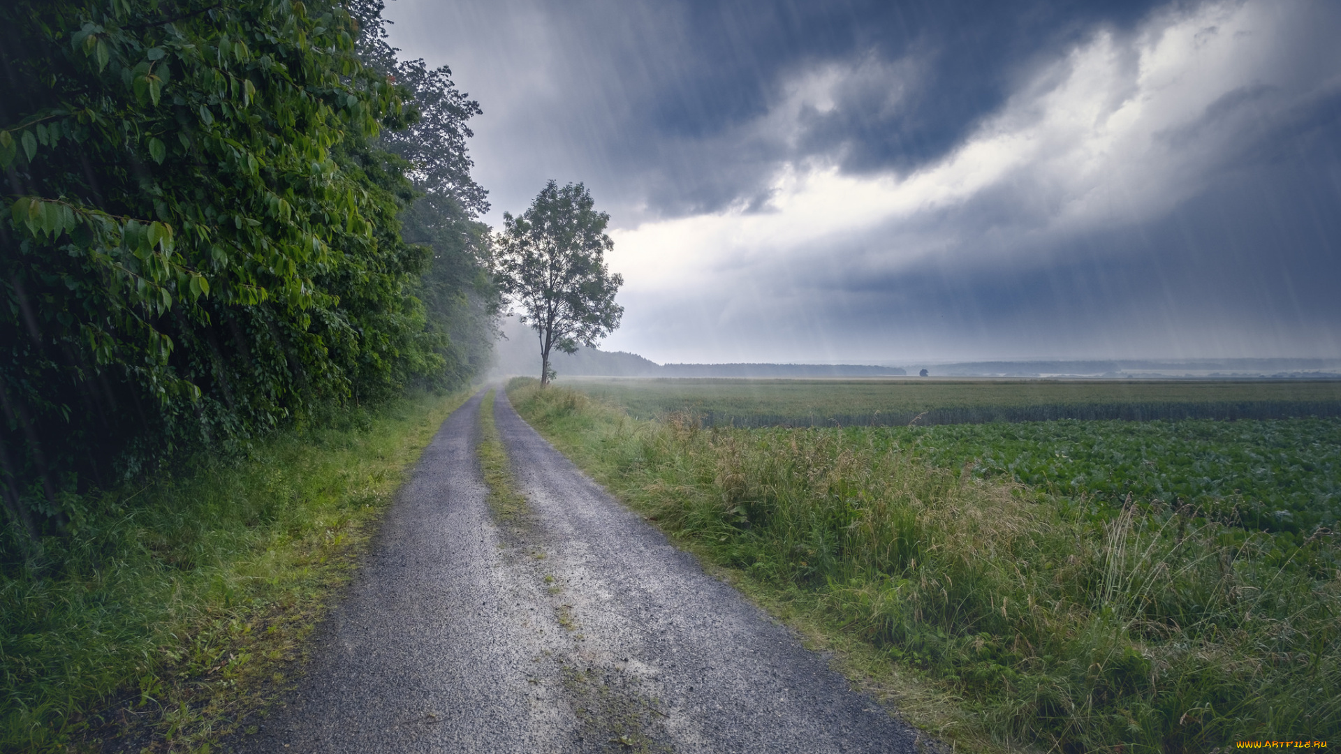 природа, дороги, простор