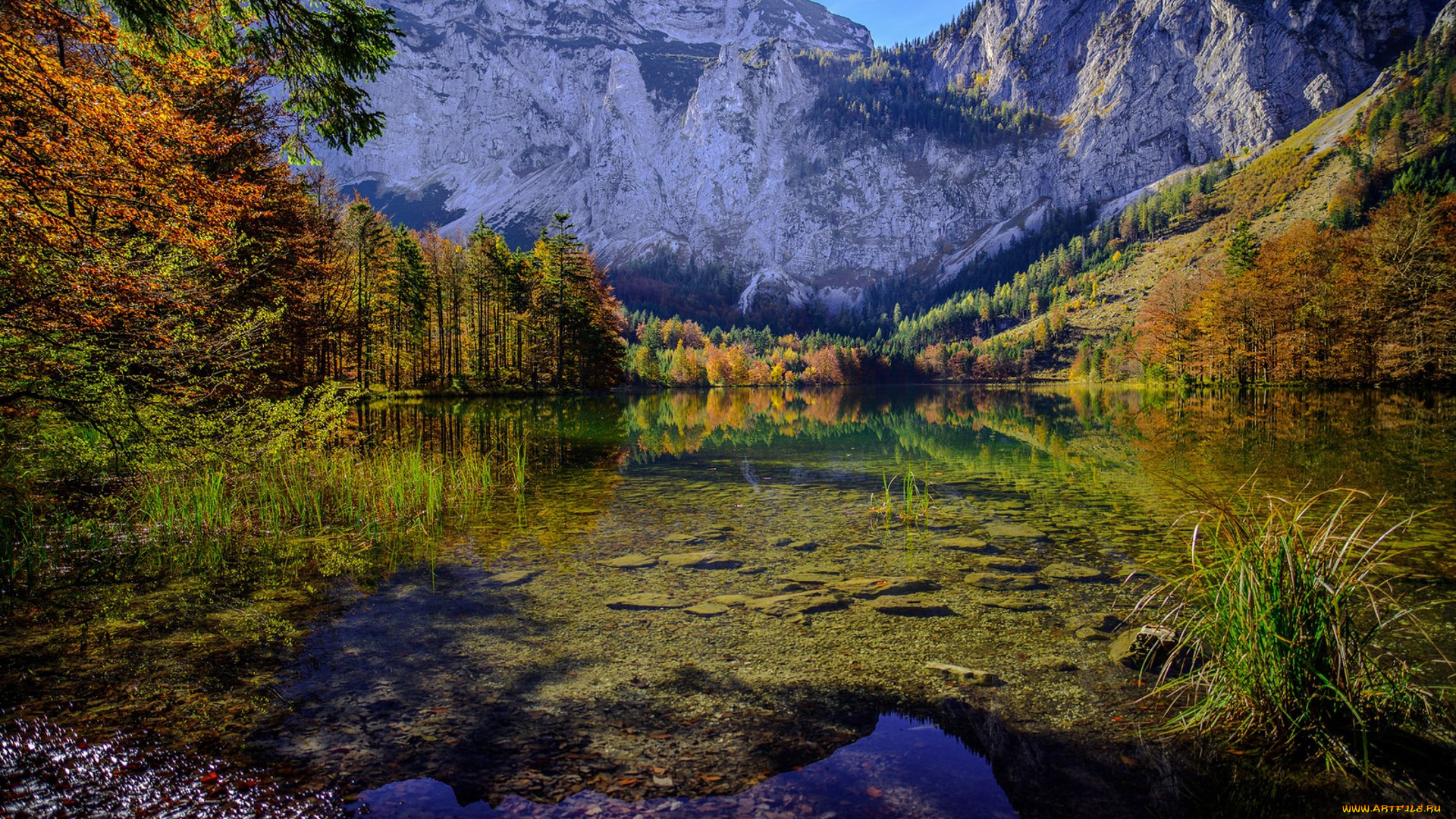 природа, горы, простор