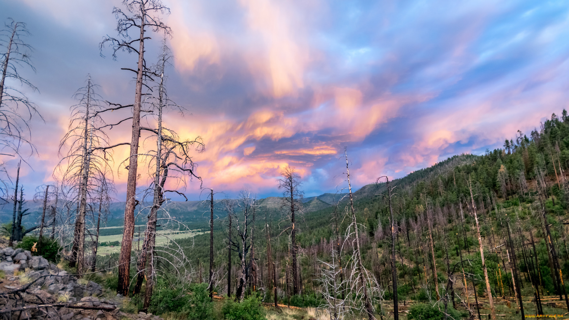 природа, пейзажи, простор