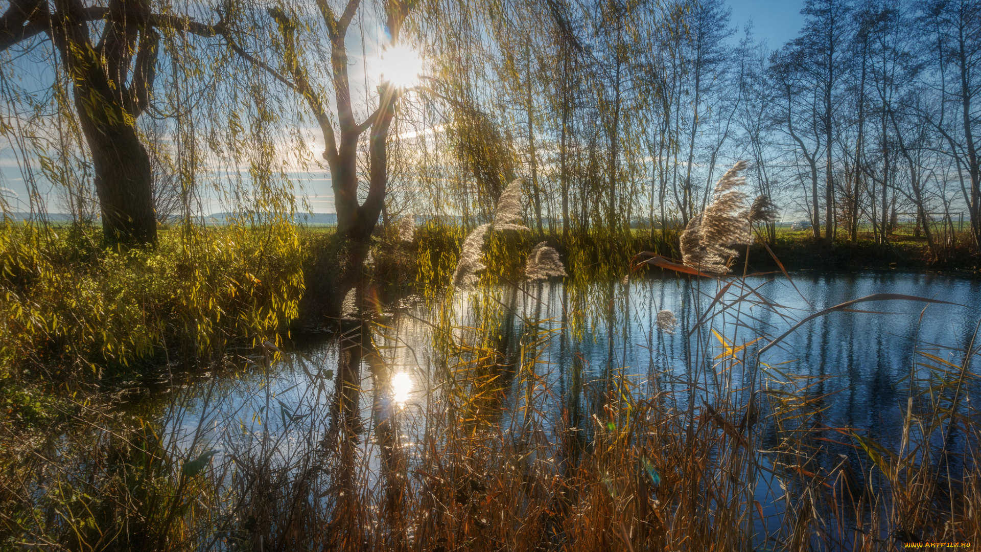 природа, реки, озера, простор