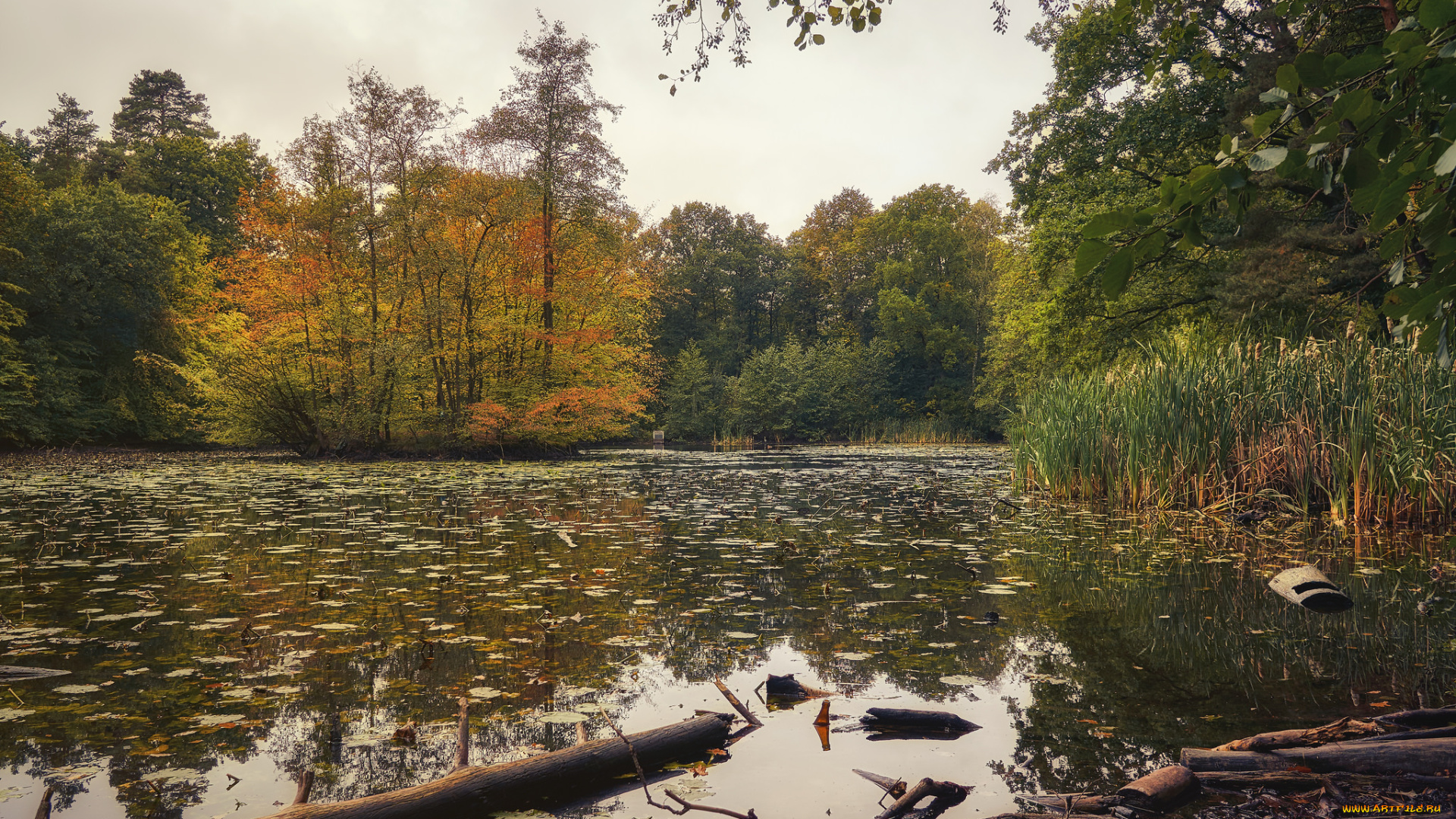 природа, реки, озера, простор