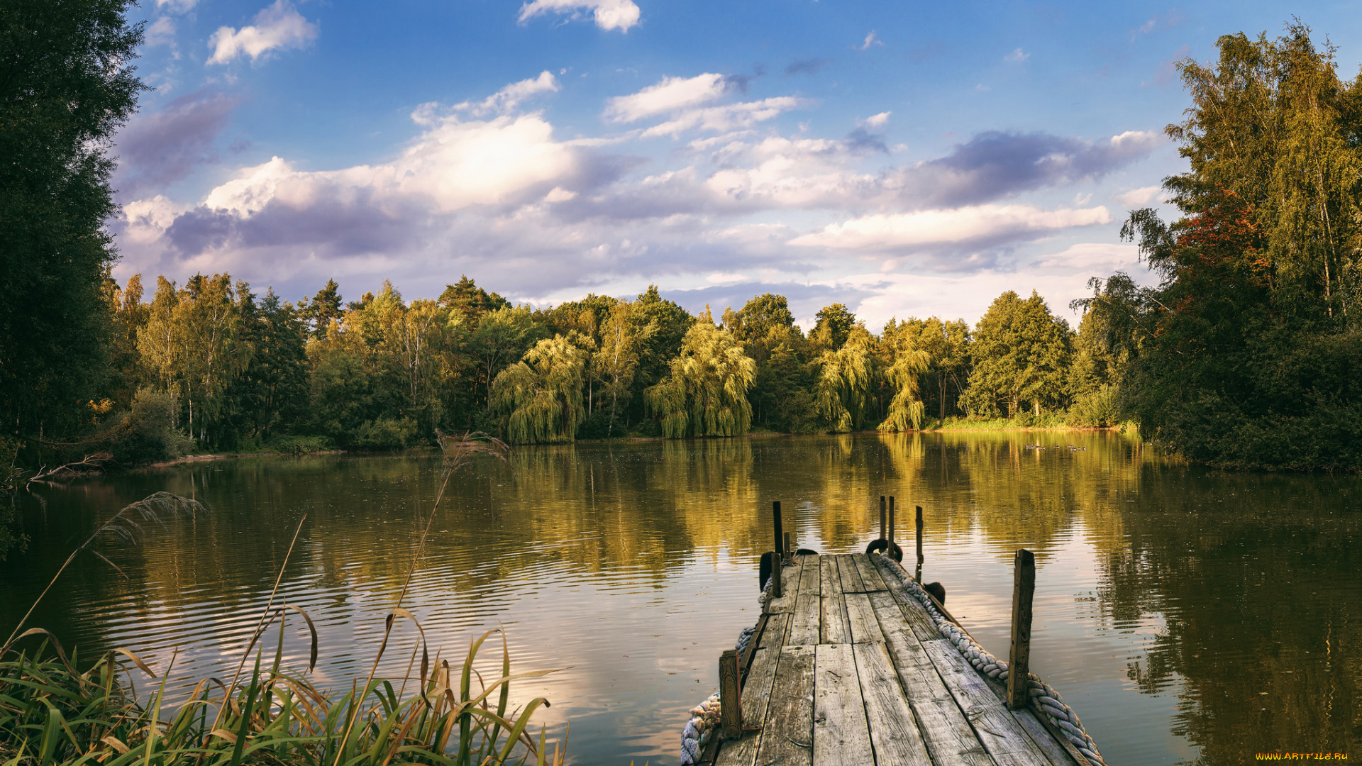 природа, реки, озера, простор