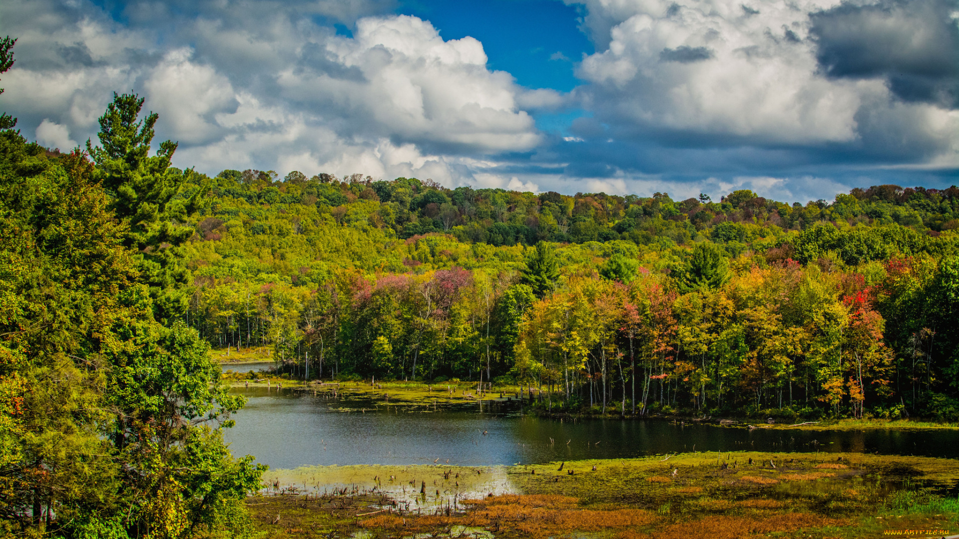 природа, реки, озера, простор