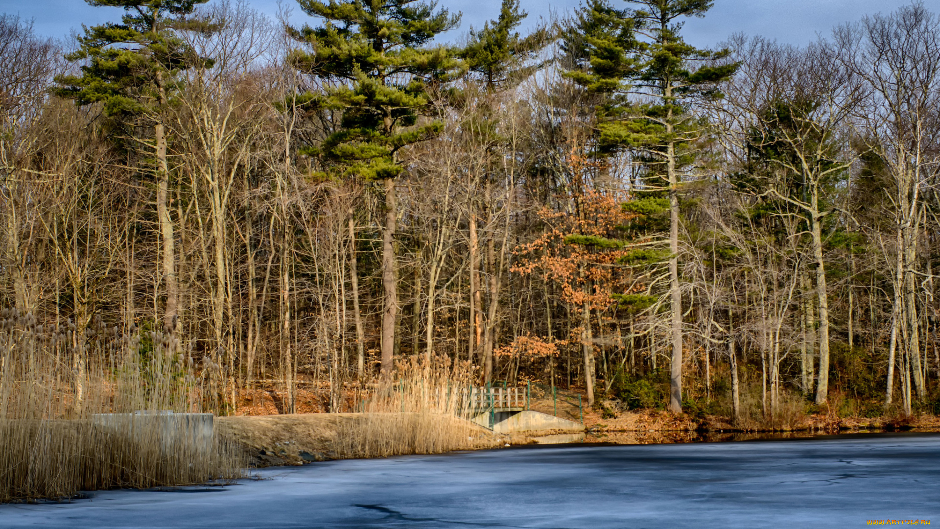 природа, реки, озера, простор