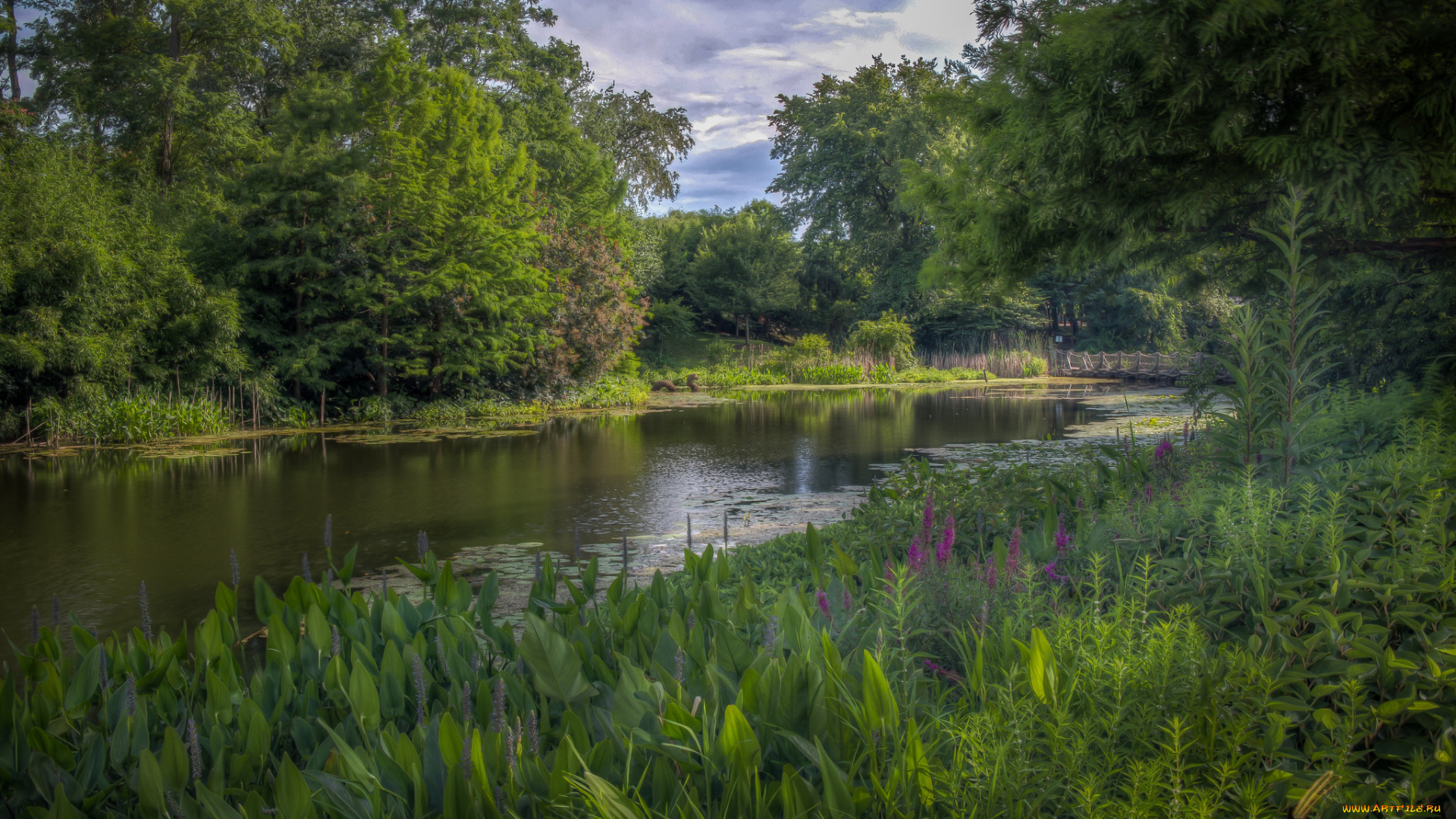 природа, реки, озера, простор