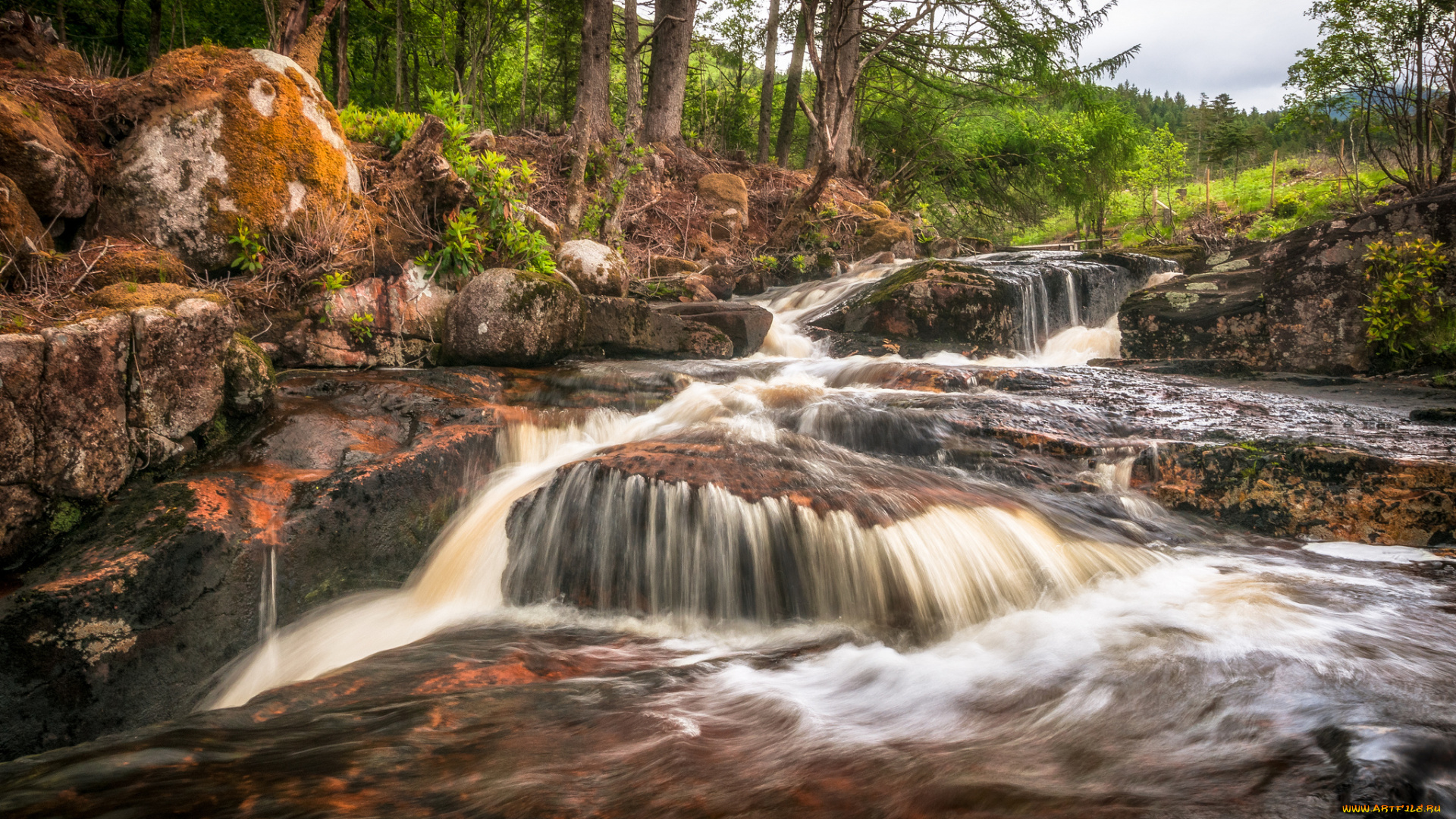 природа, реки, озера, простор