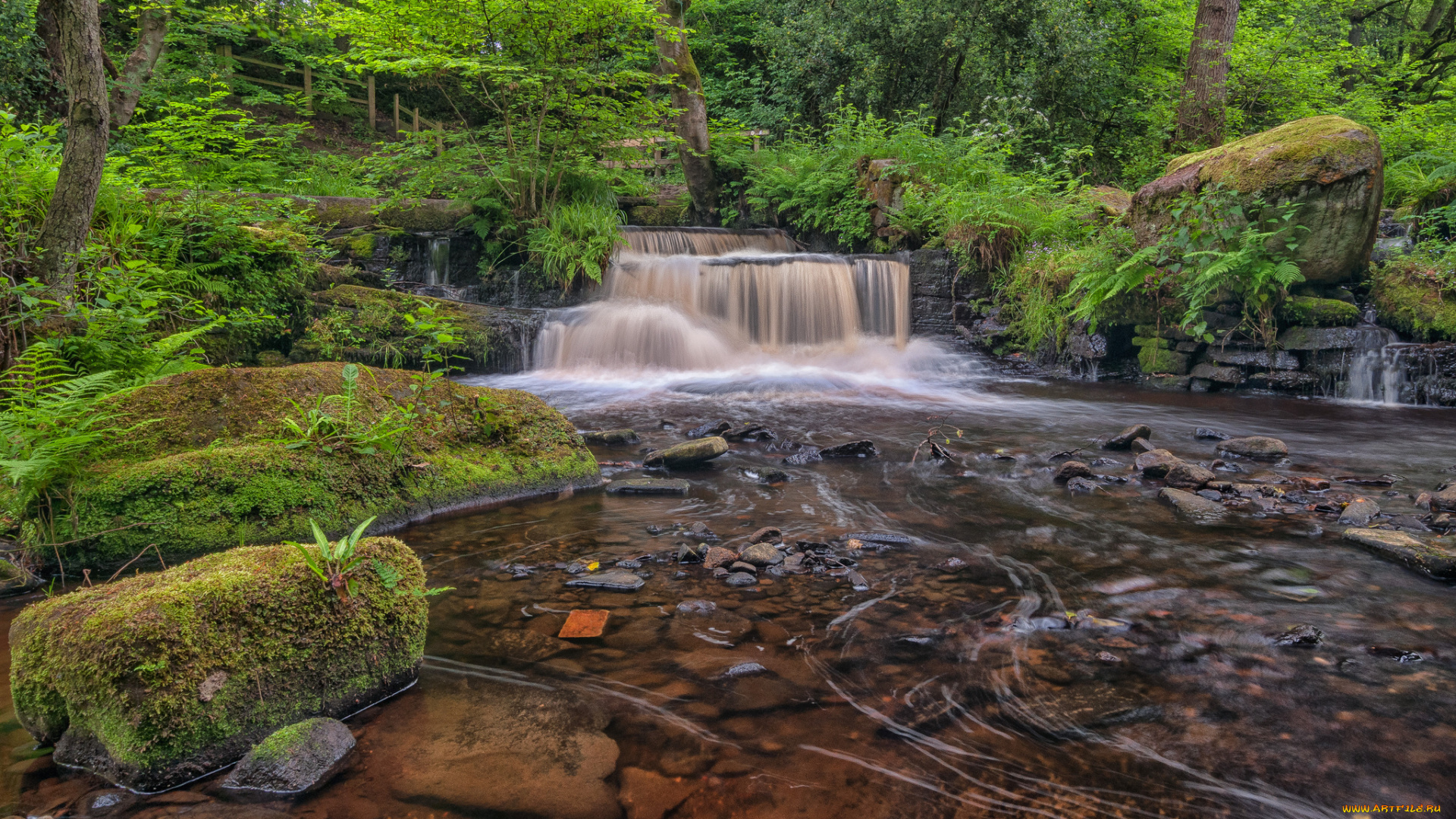 природа, реки, озера, простор