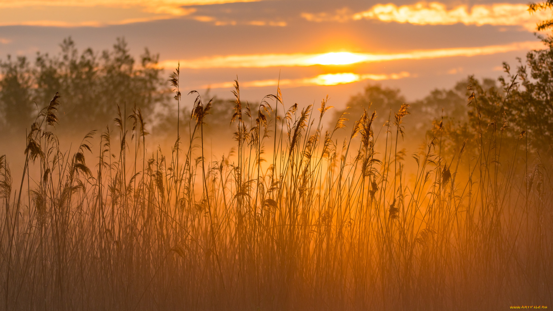 природа, восходы, закаты, простор