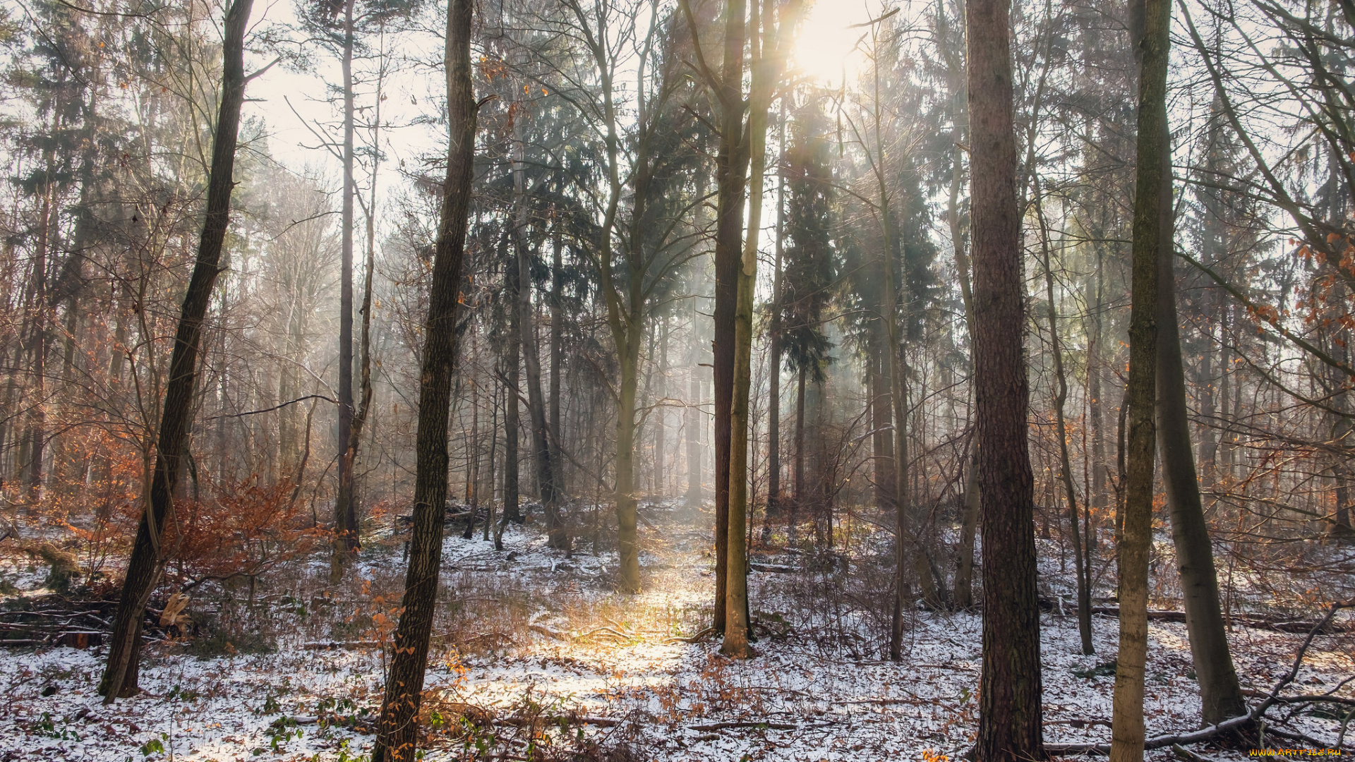 природа, зима, простор