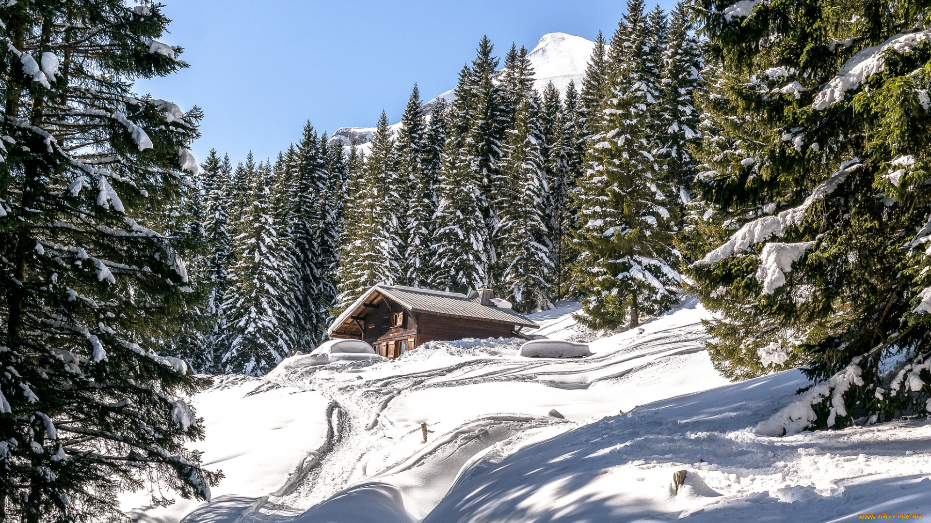 природа, зима, простор