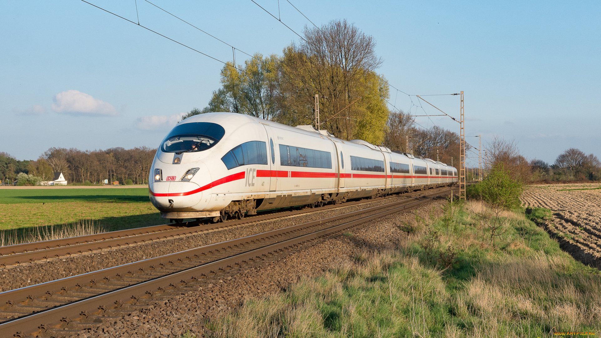 техника, электровозы, состав, локомотив