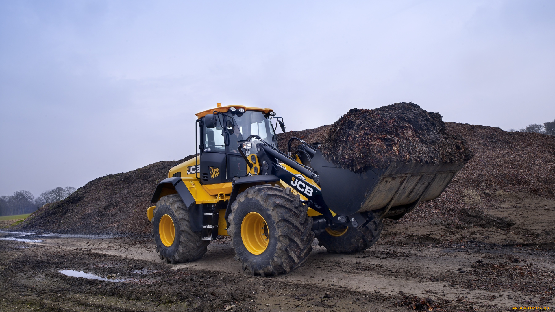 техника, фронтальные, погрузчики, jcb