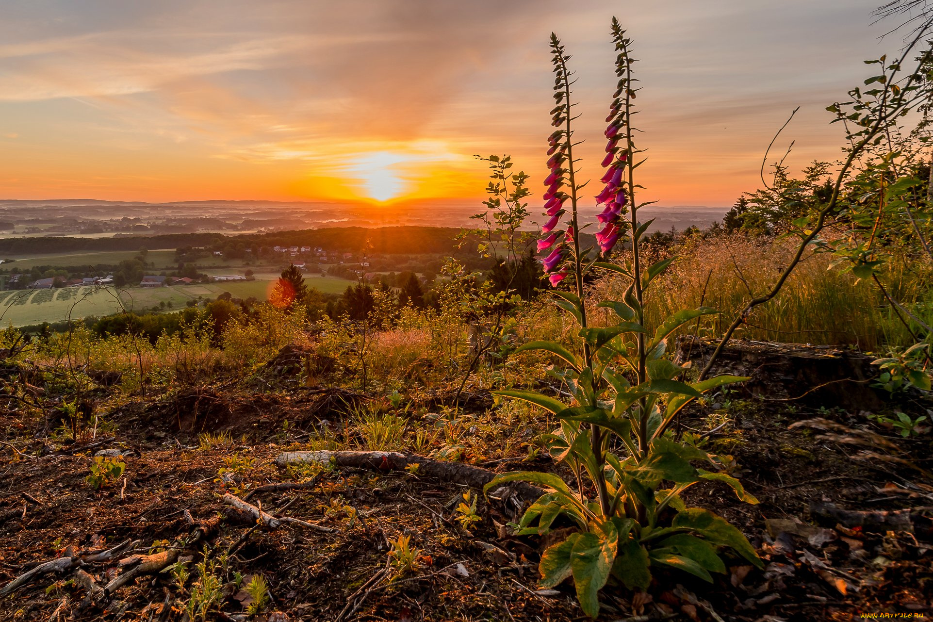 природа, восходы, закаты, простор