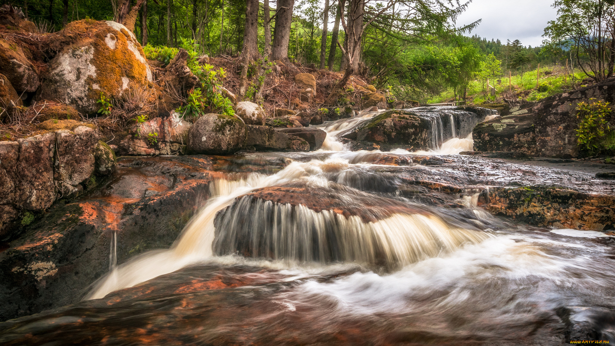 природа, реки, озера, простор