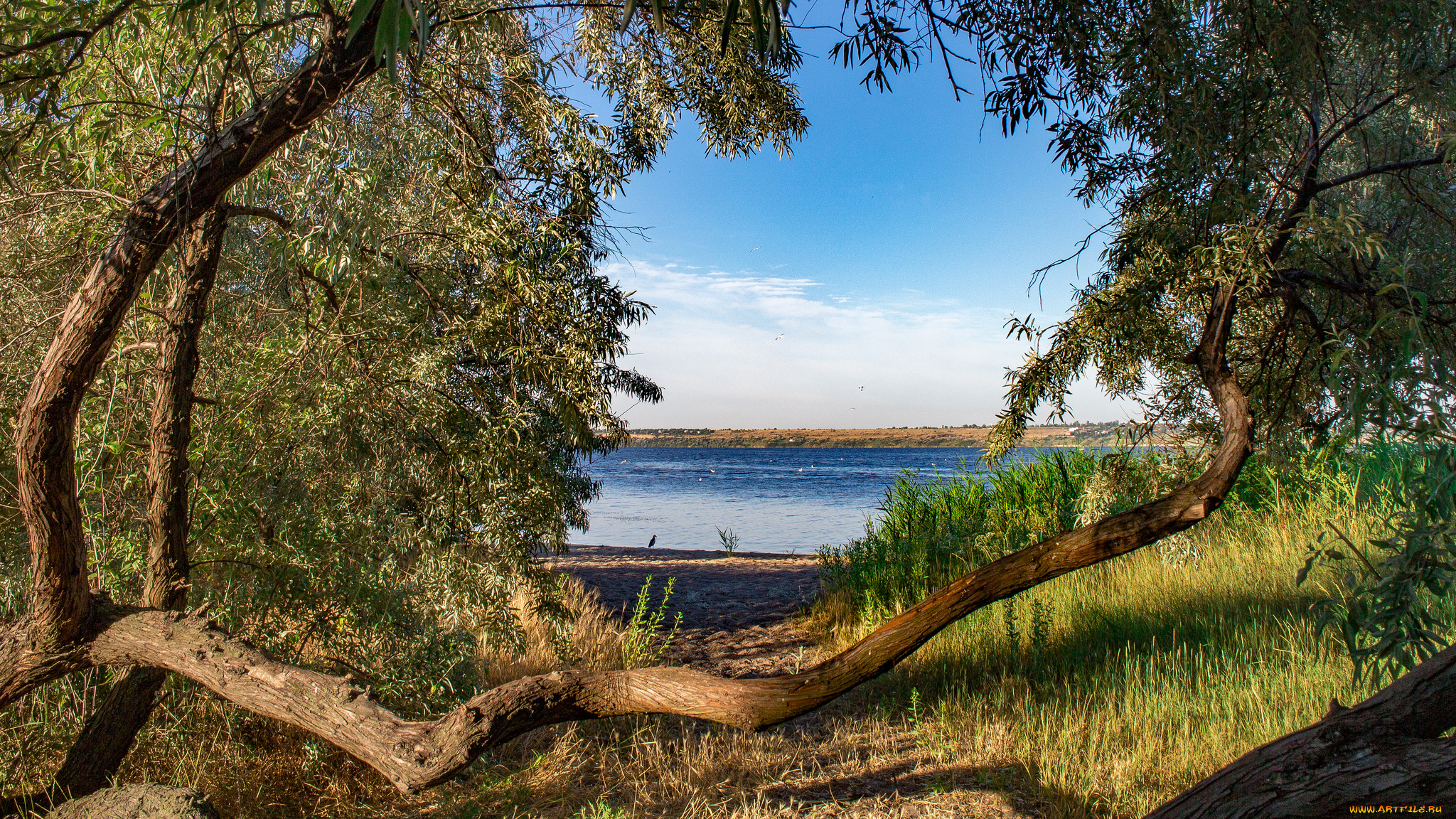 природа, реки, озера, простор