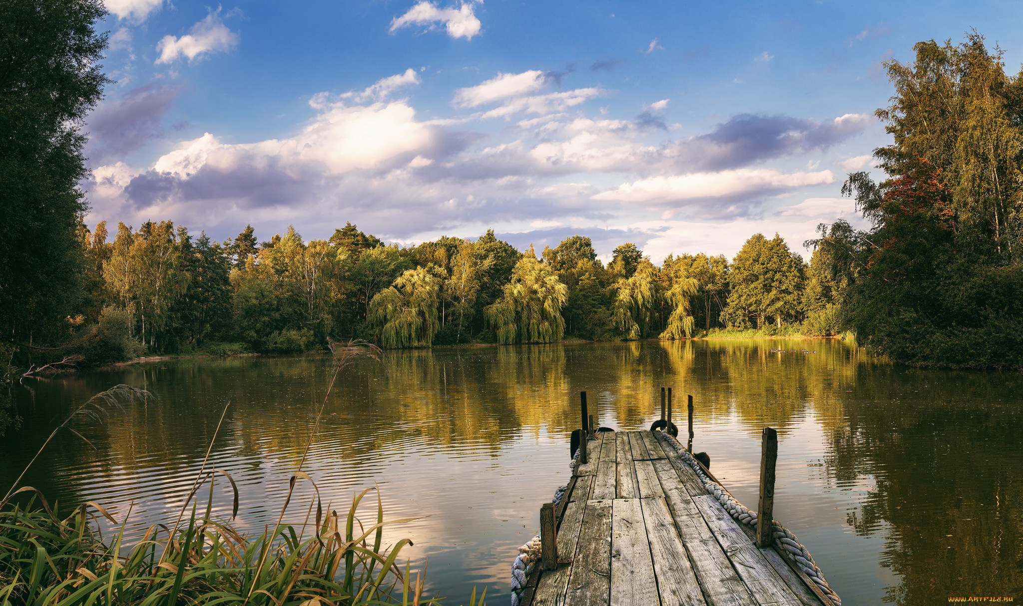 природа, реки, озера, простор