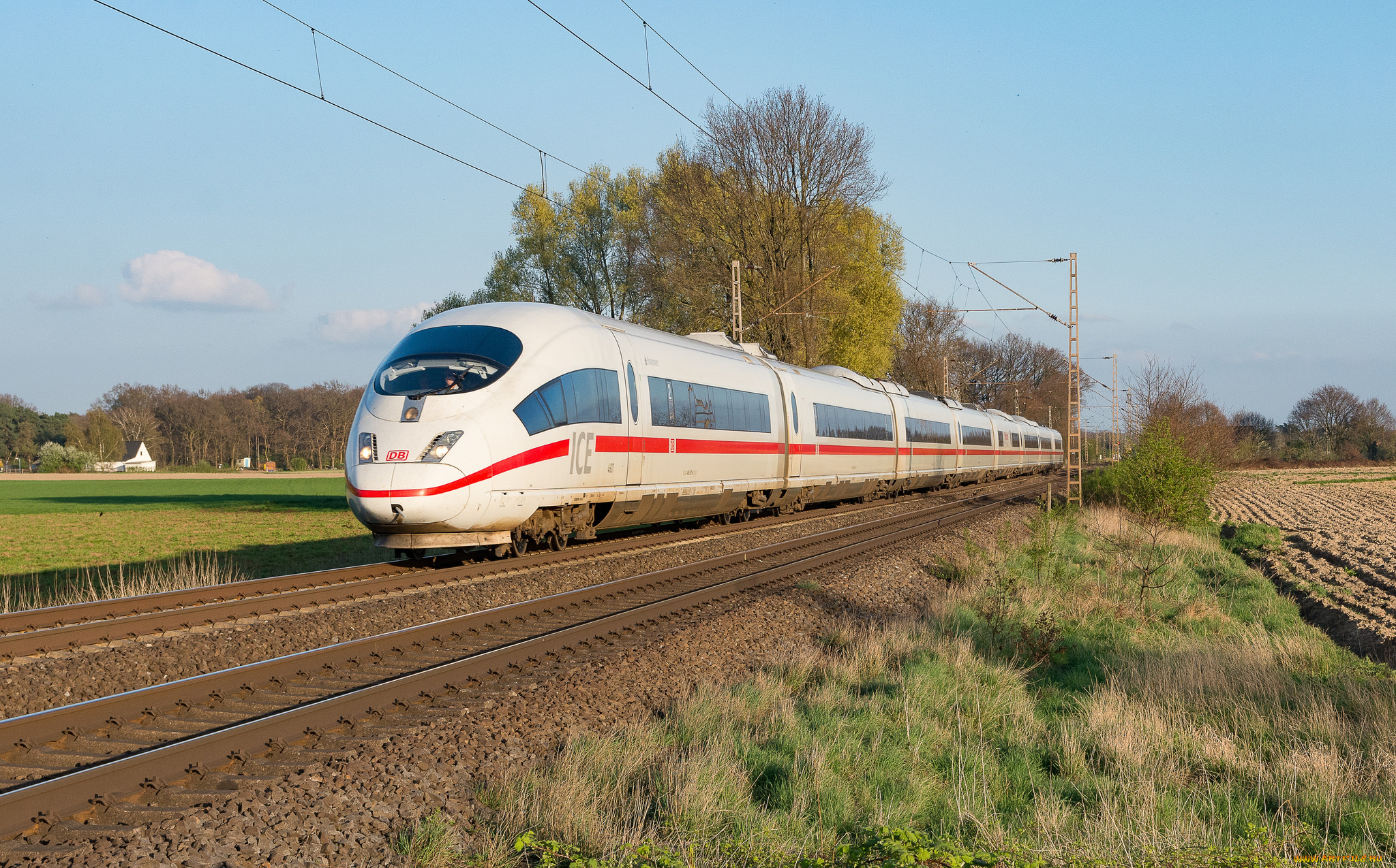 техника, электровозы, состав, локомотив