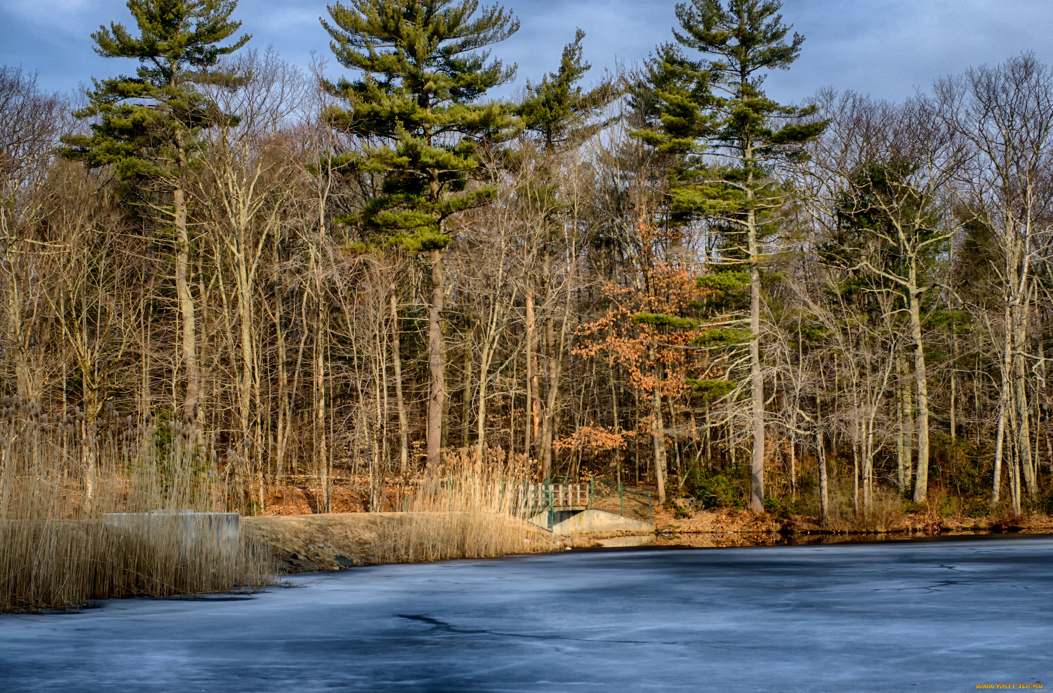 природа, реки, озера, простор