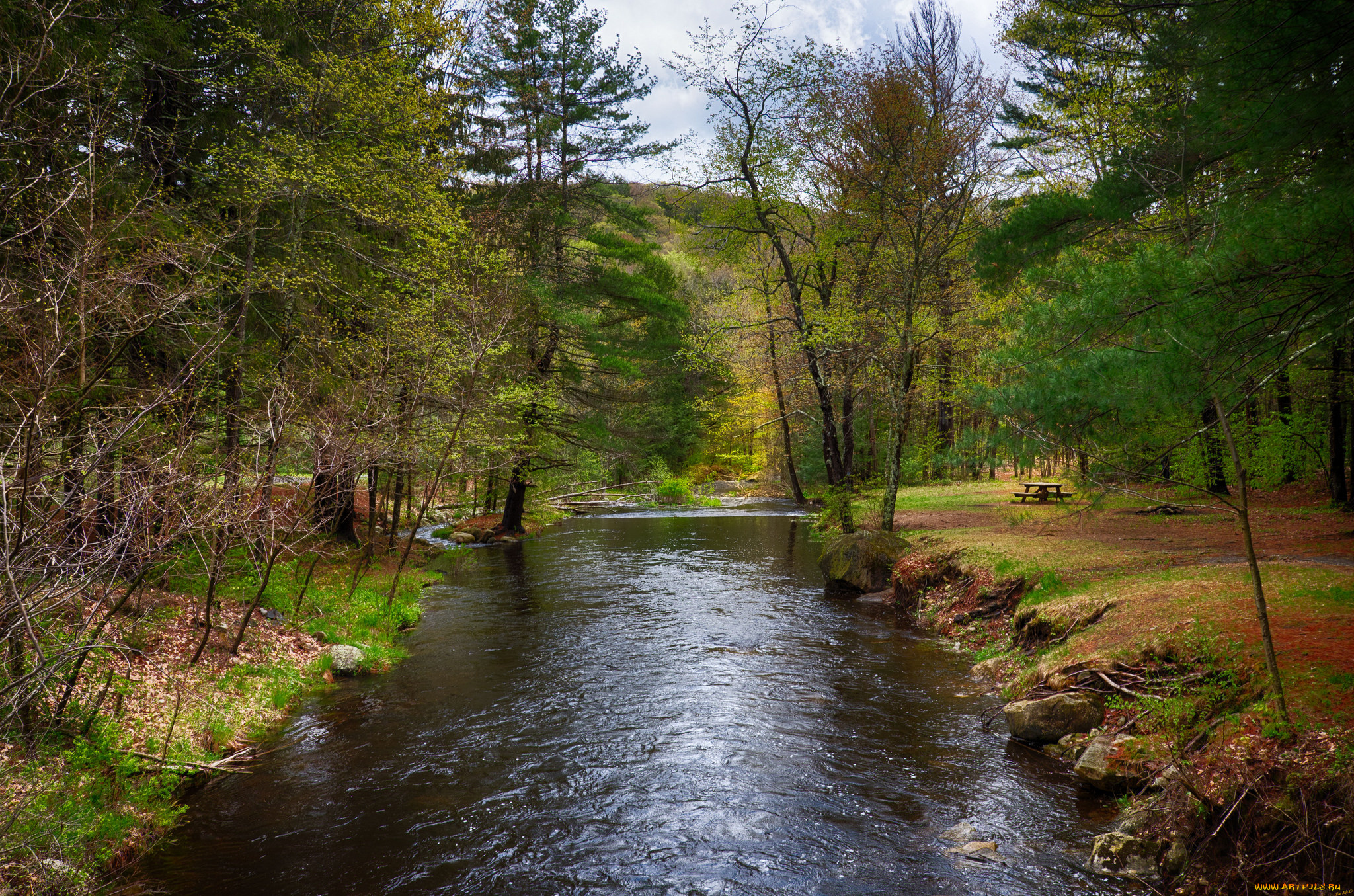 природа, реки, озера, простор