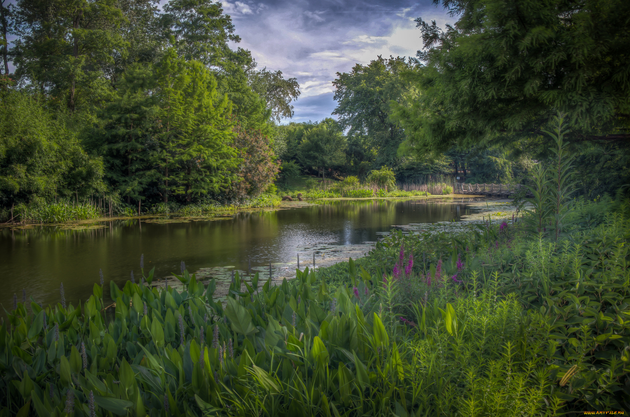 природа, реки, озера, простор