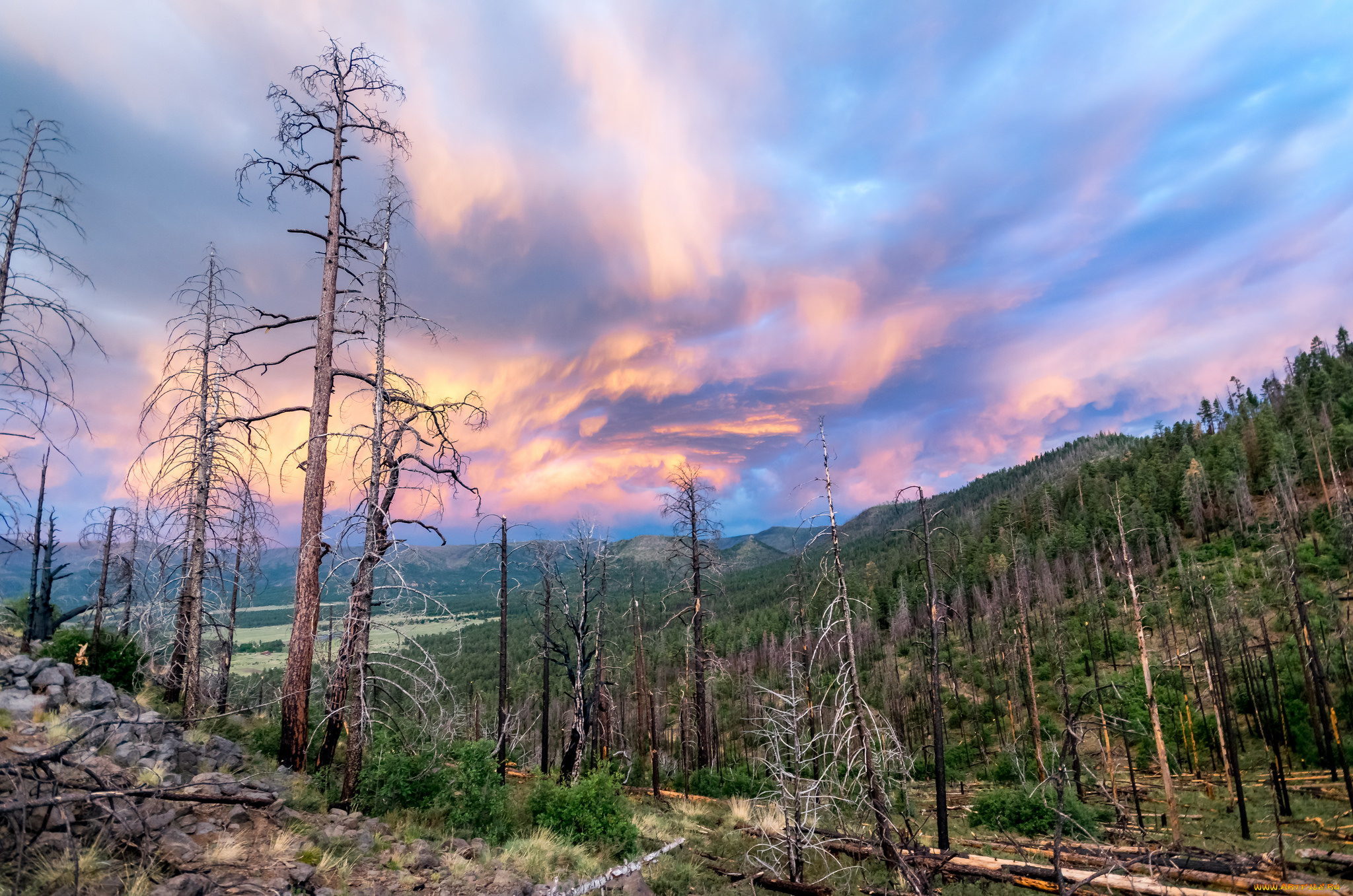 природа, пейзажи, простор