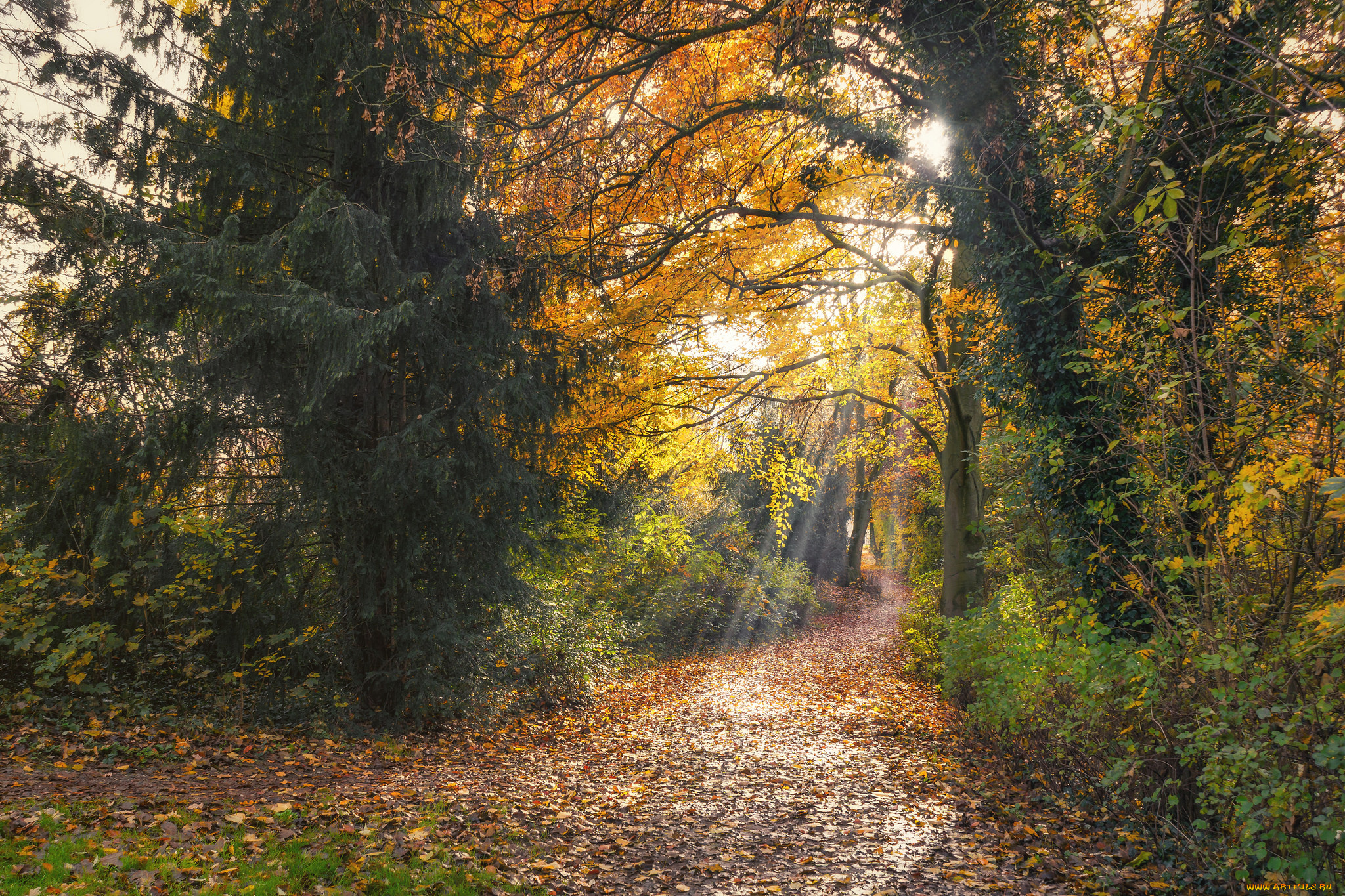 природа, дороги, простор