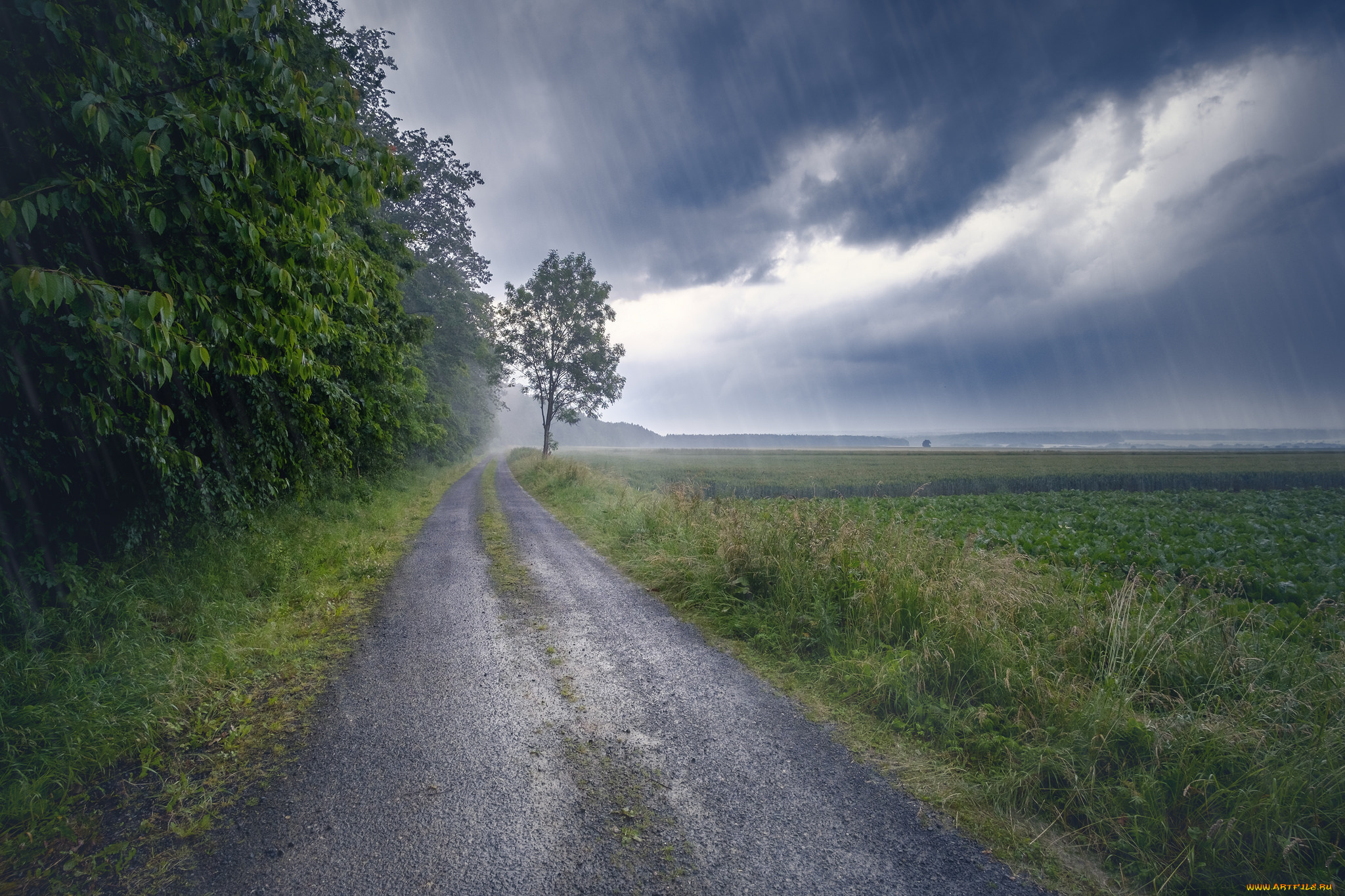 природа, дороги, простор