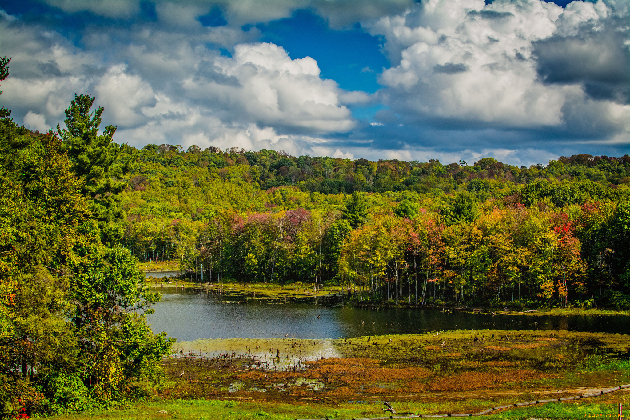 природа, реки, озера, простор